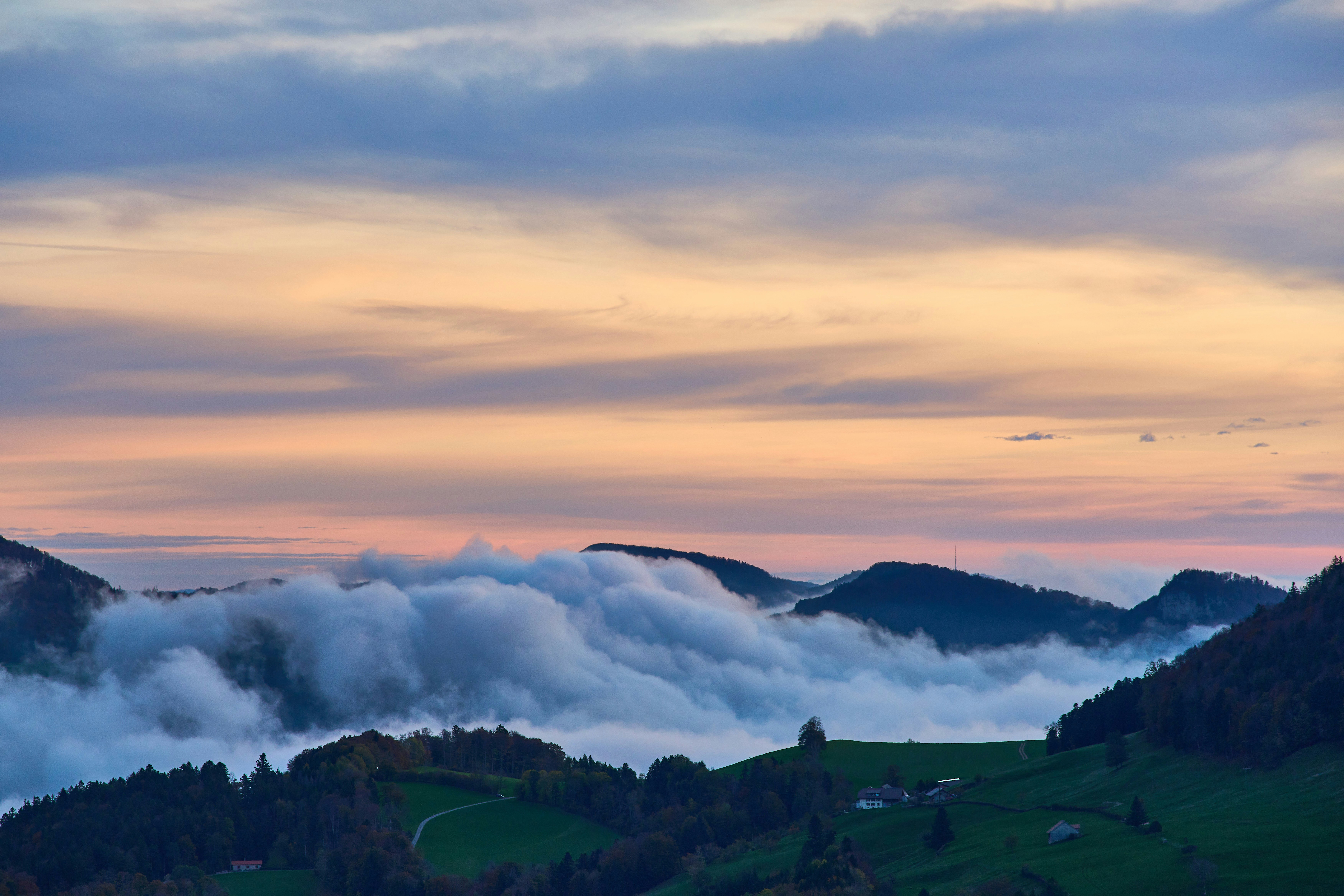 Photo by wolfgang_hasselmann