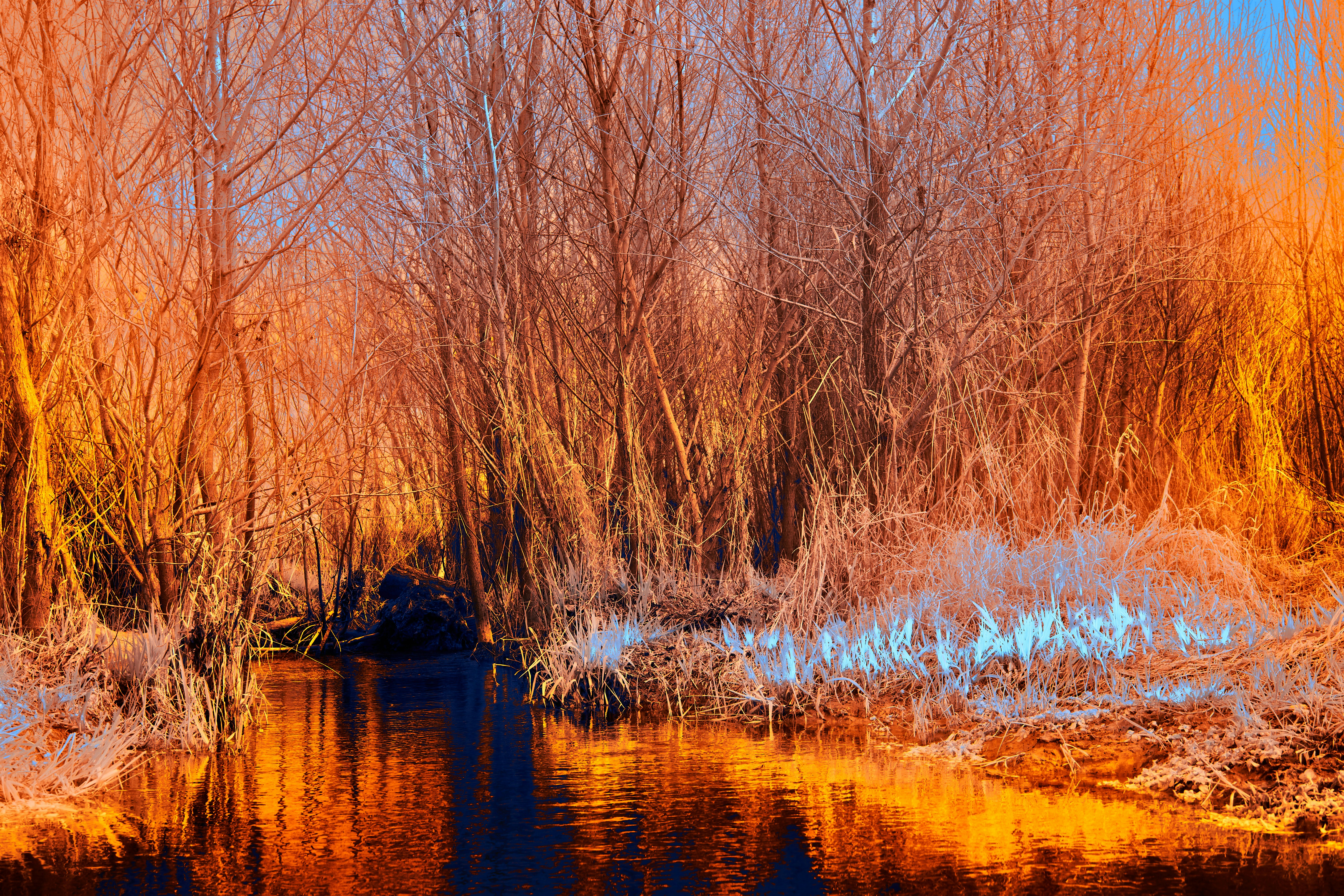 Photo by wolfgang_hasselmann