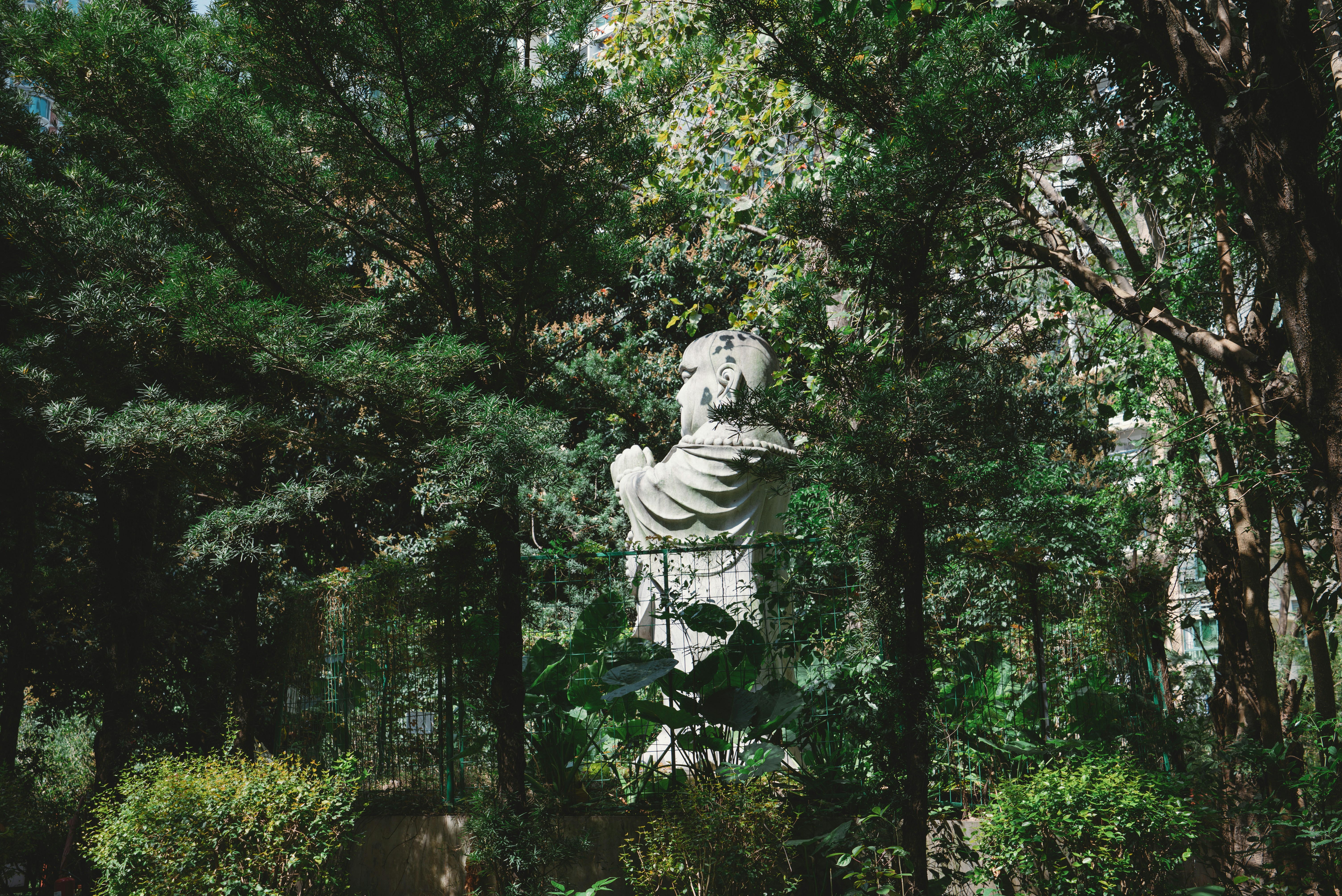 Photo by wangbinghua