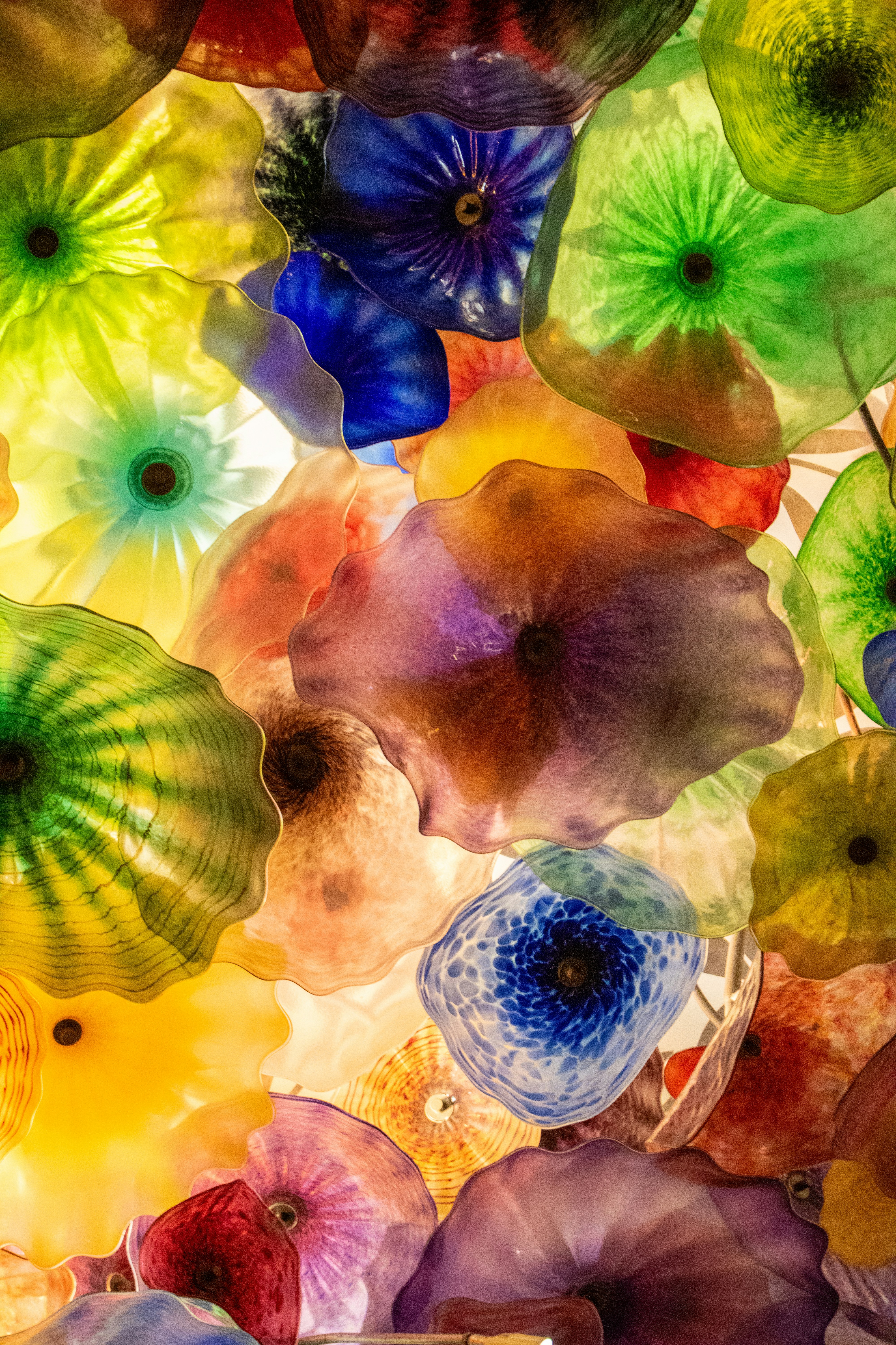 Photo by zoshuacolah