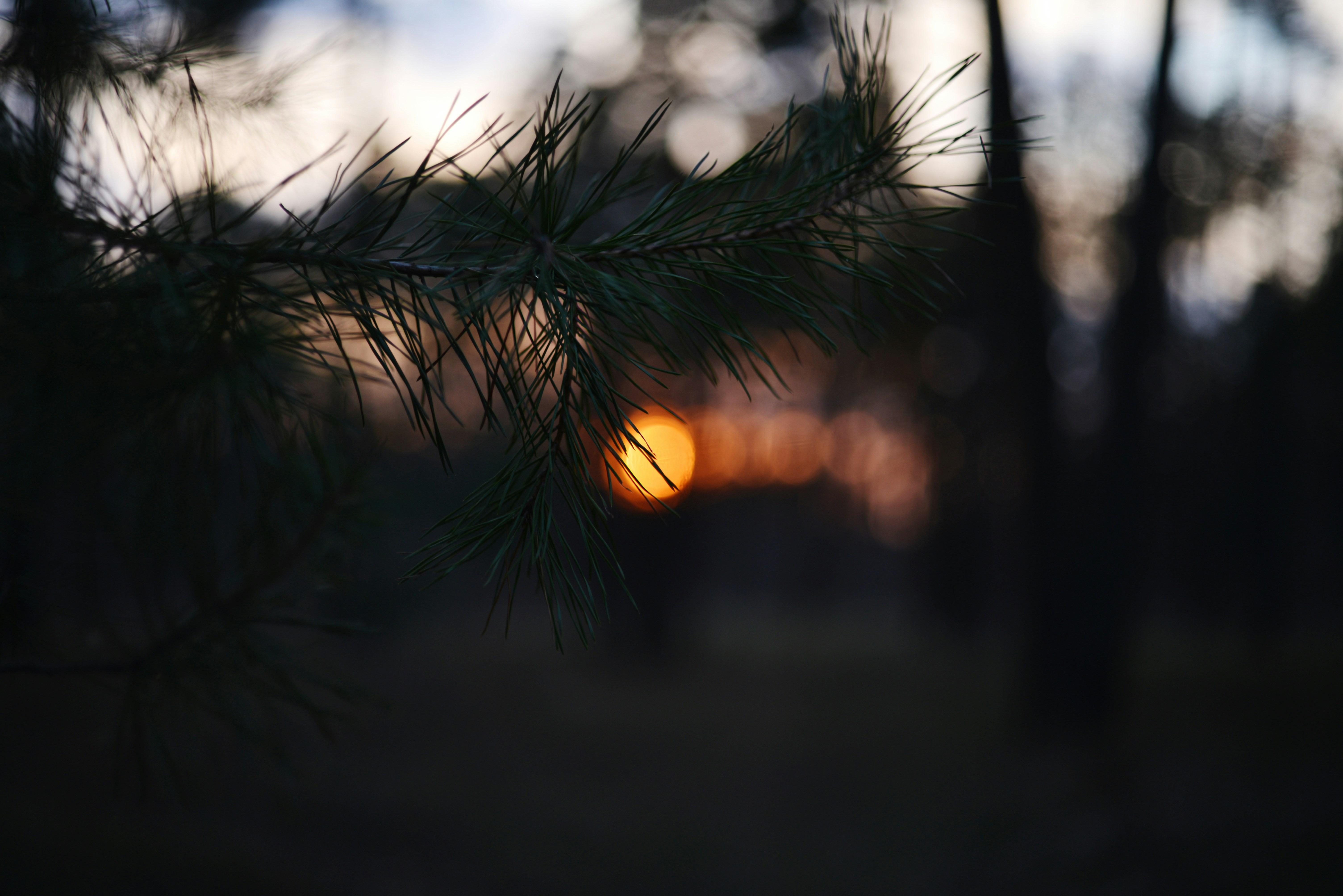 Photo by cherstve_pechivo