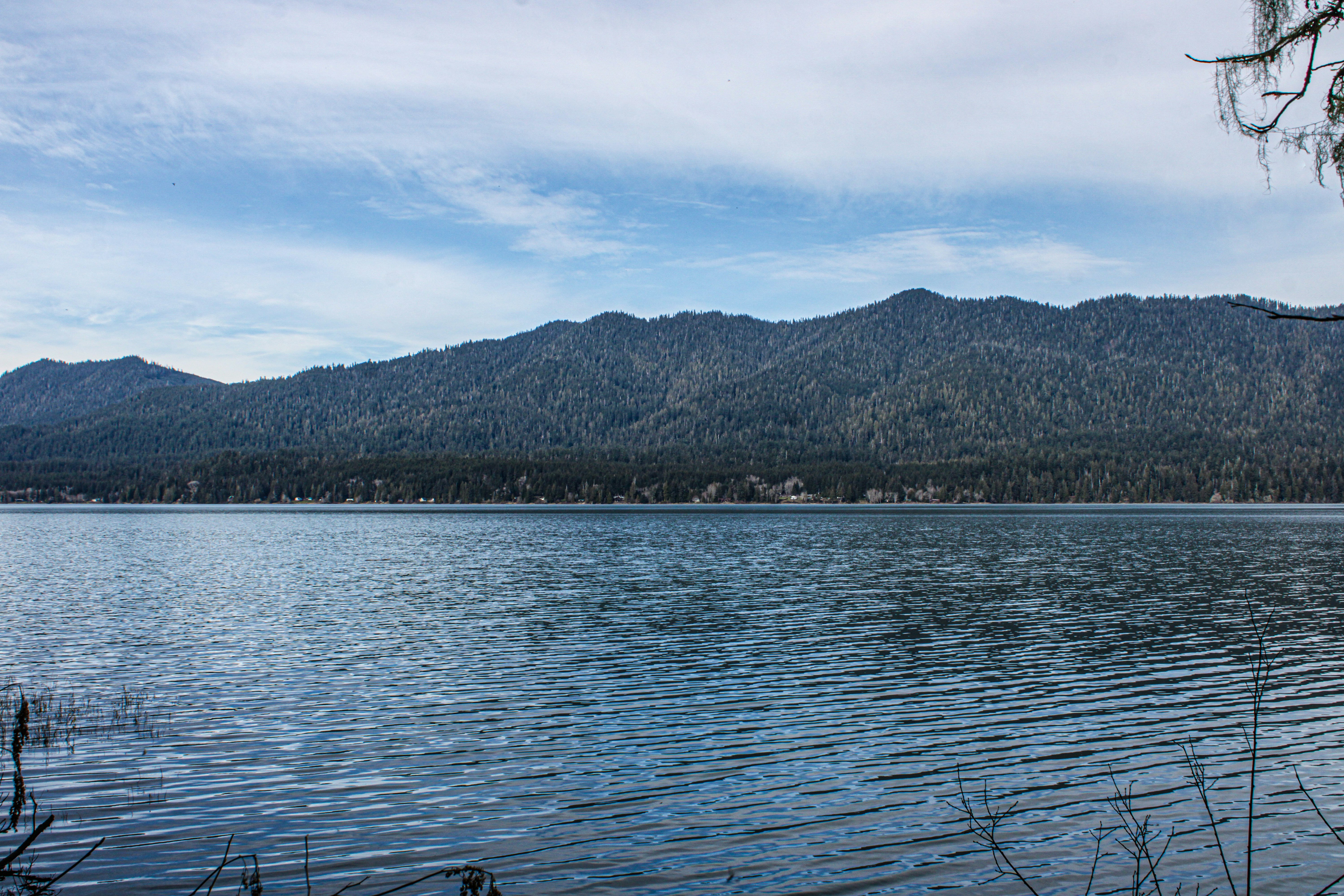 Photo by prphotography262