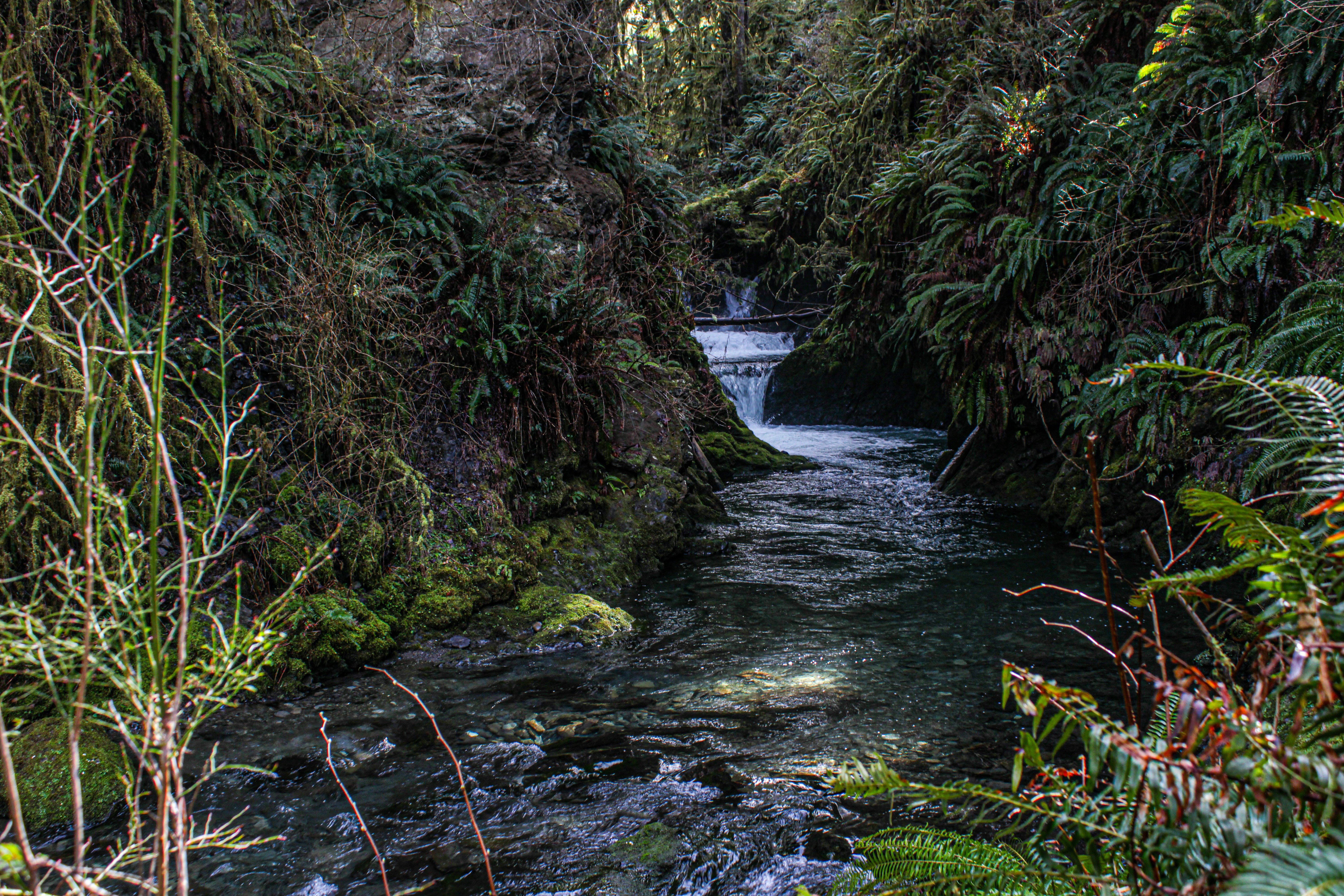 Photo by prphotography262