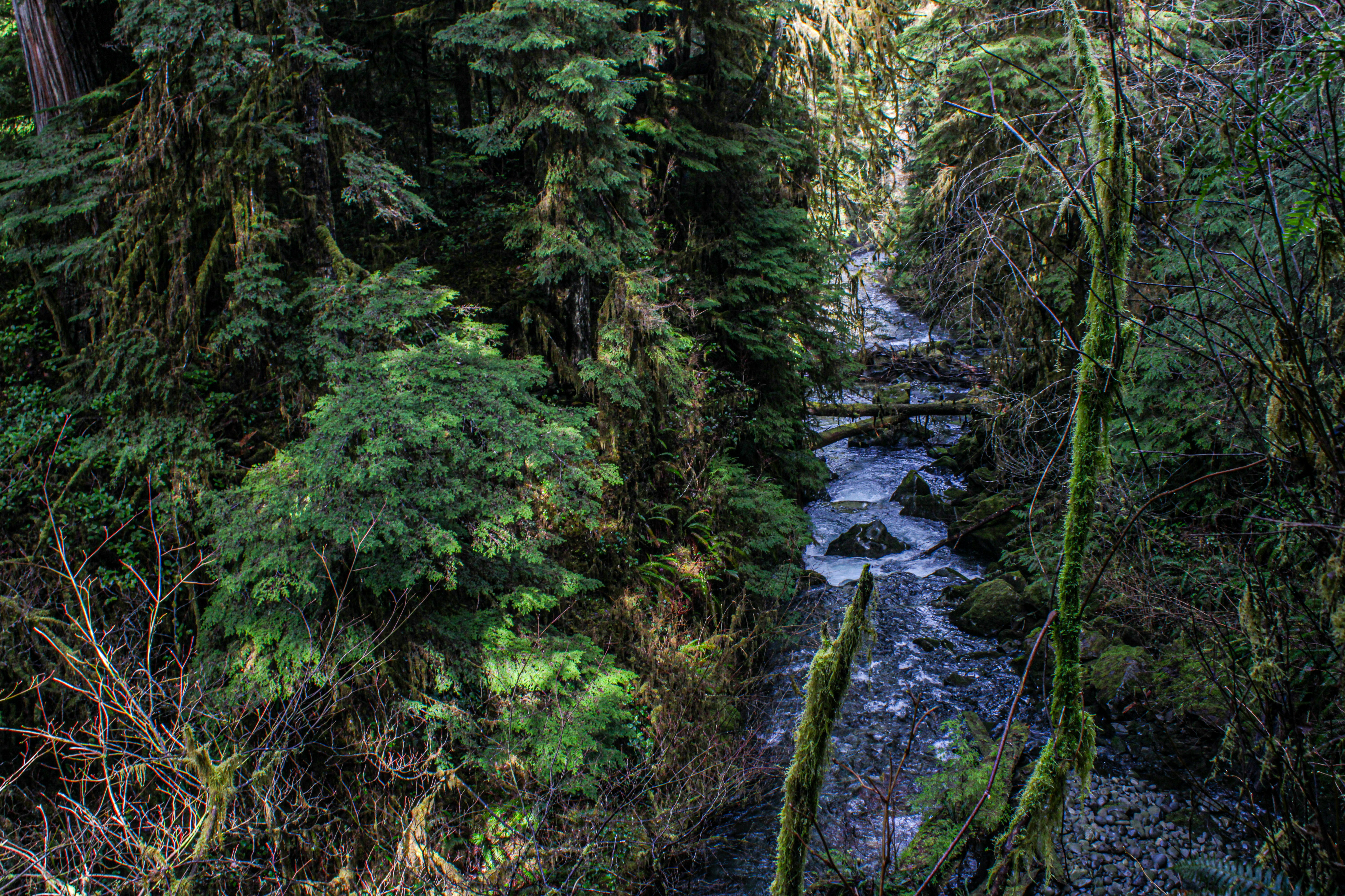 Photo by prphotography262