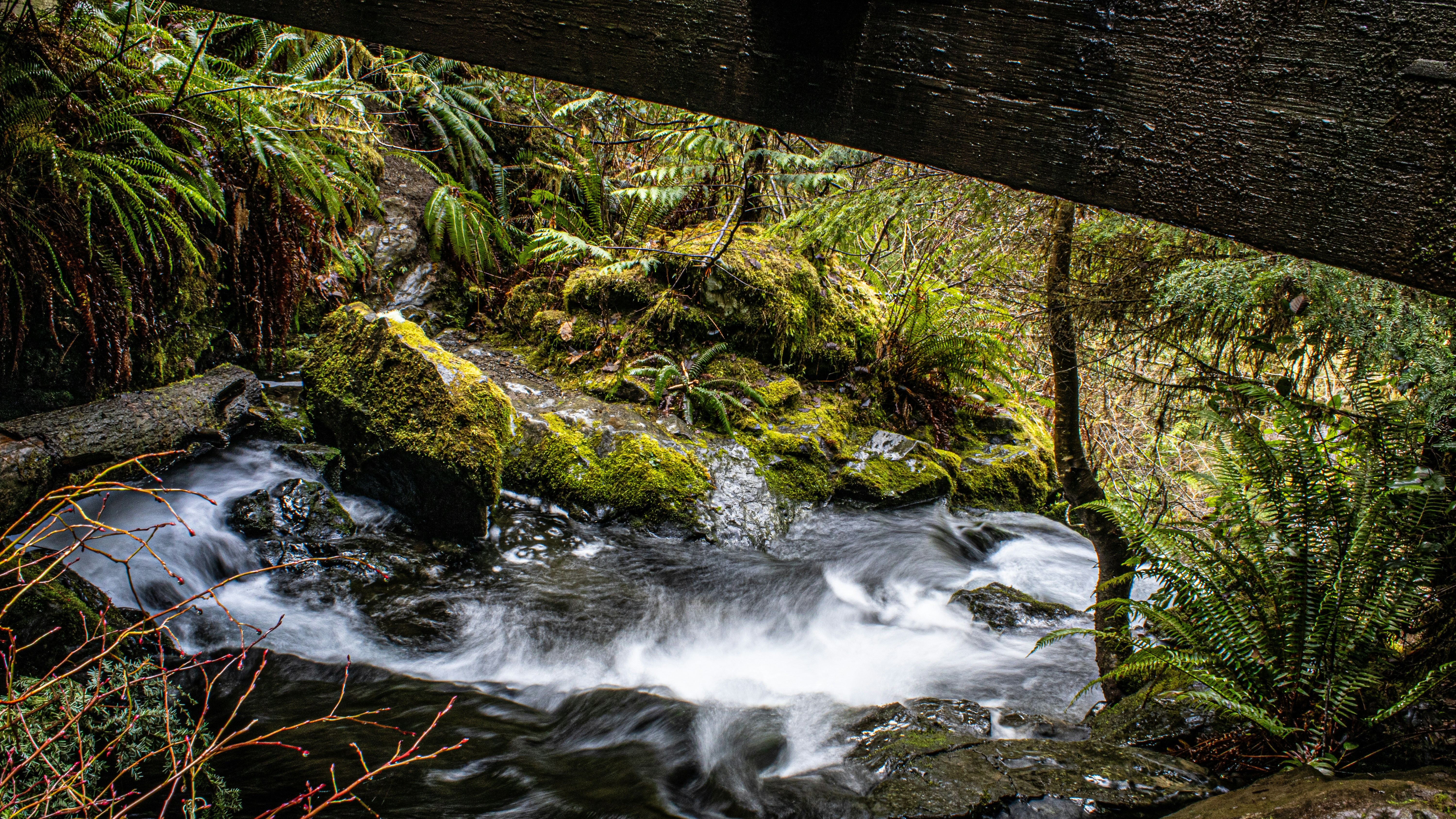 Photo by prphotography262