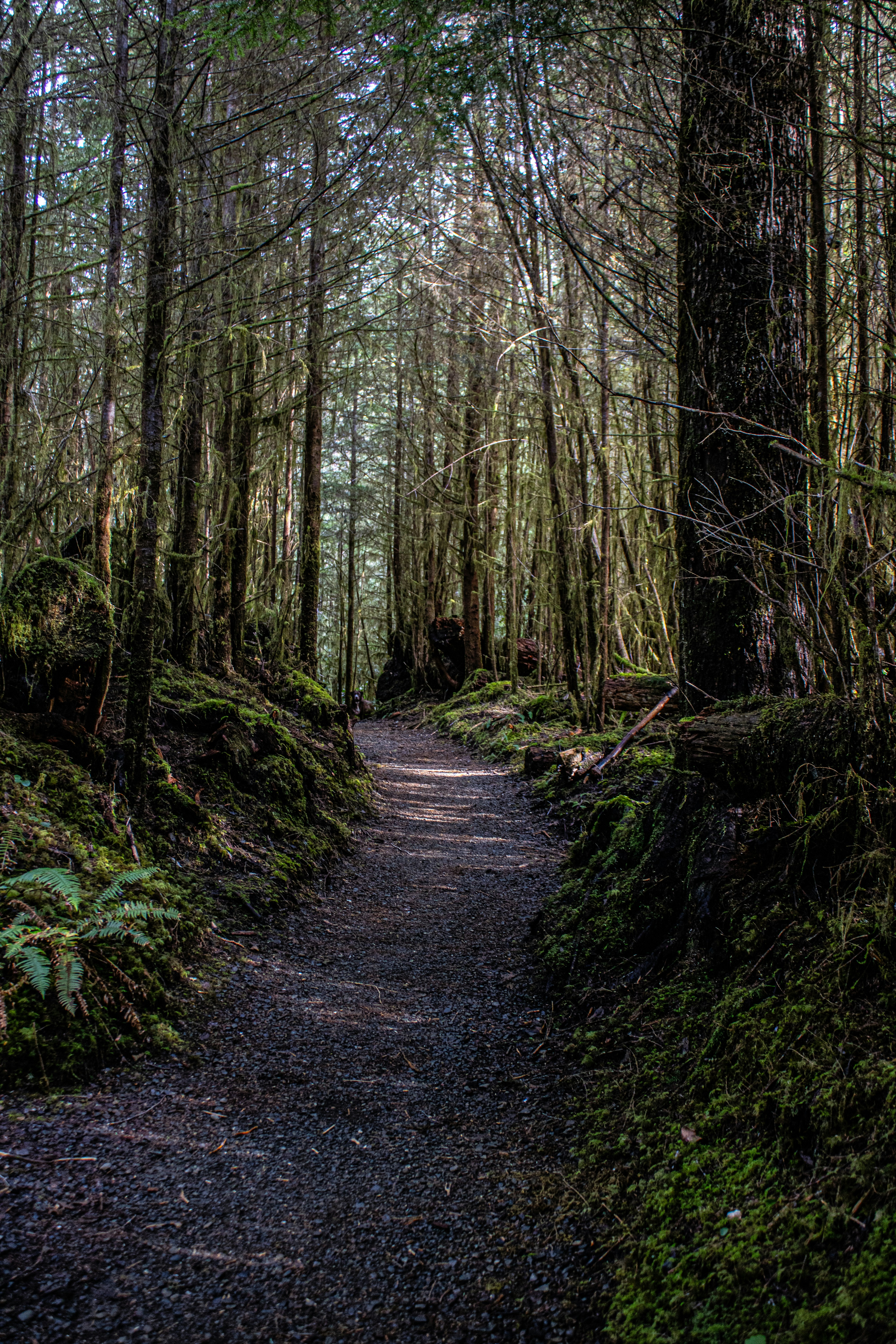 Photo by prphotography262