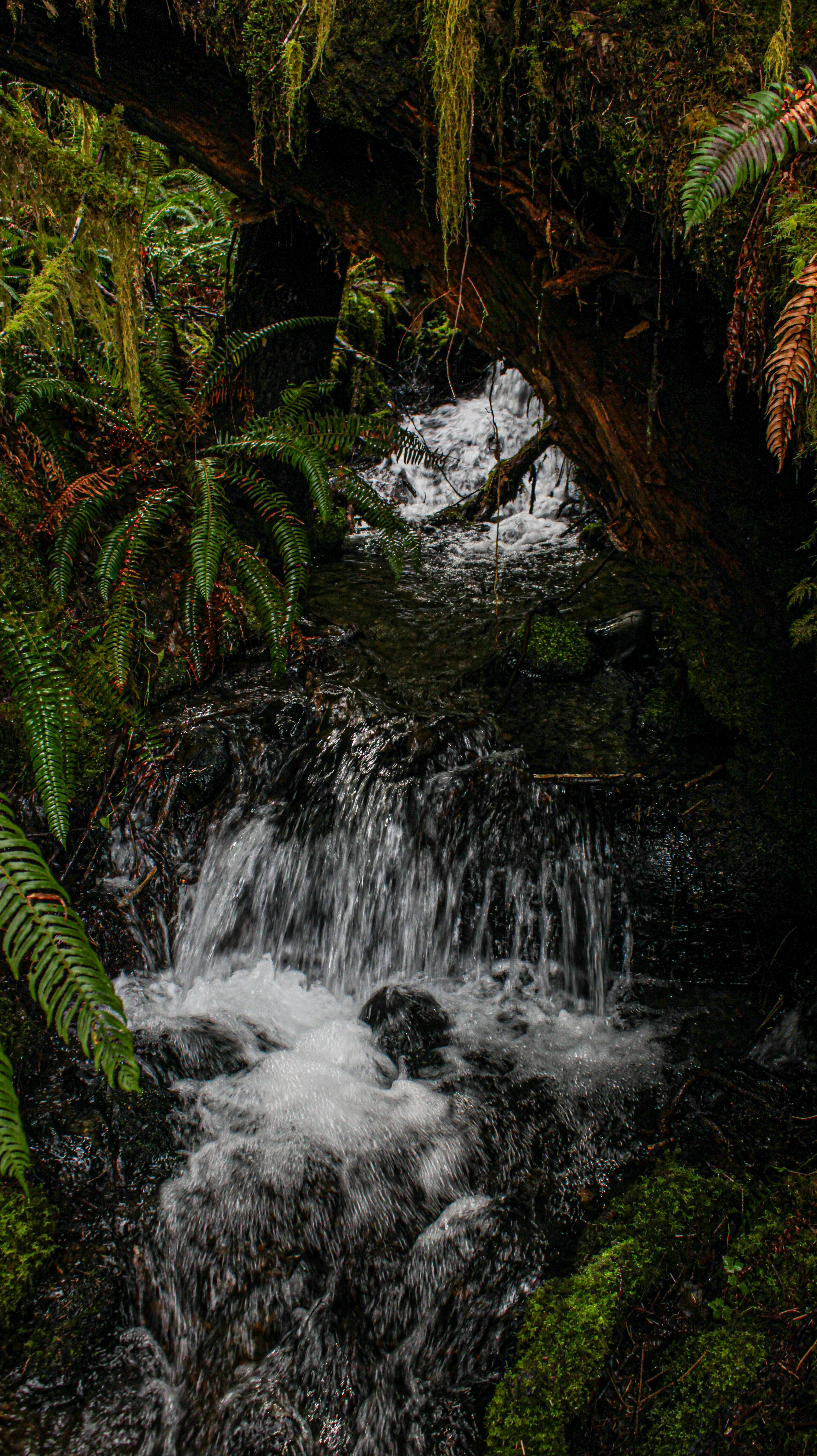 Photo by prphotography262