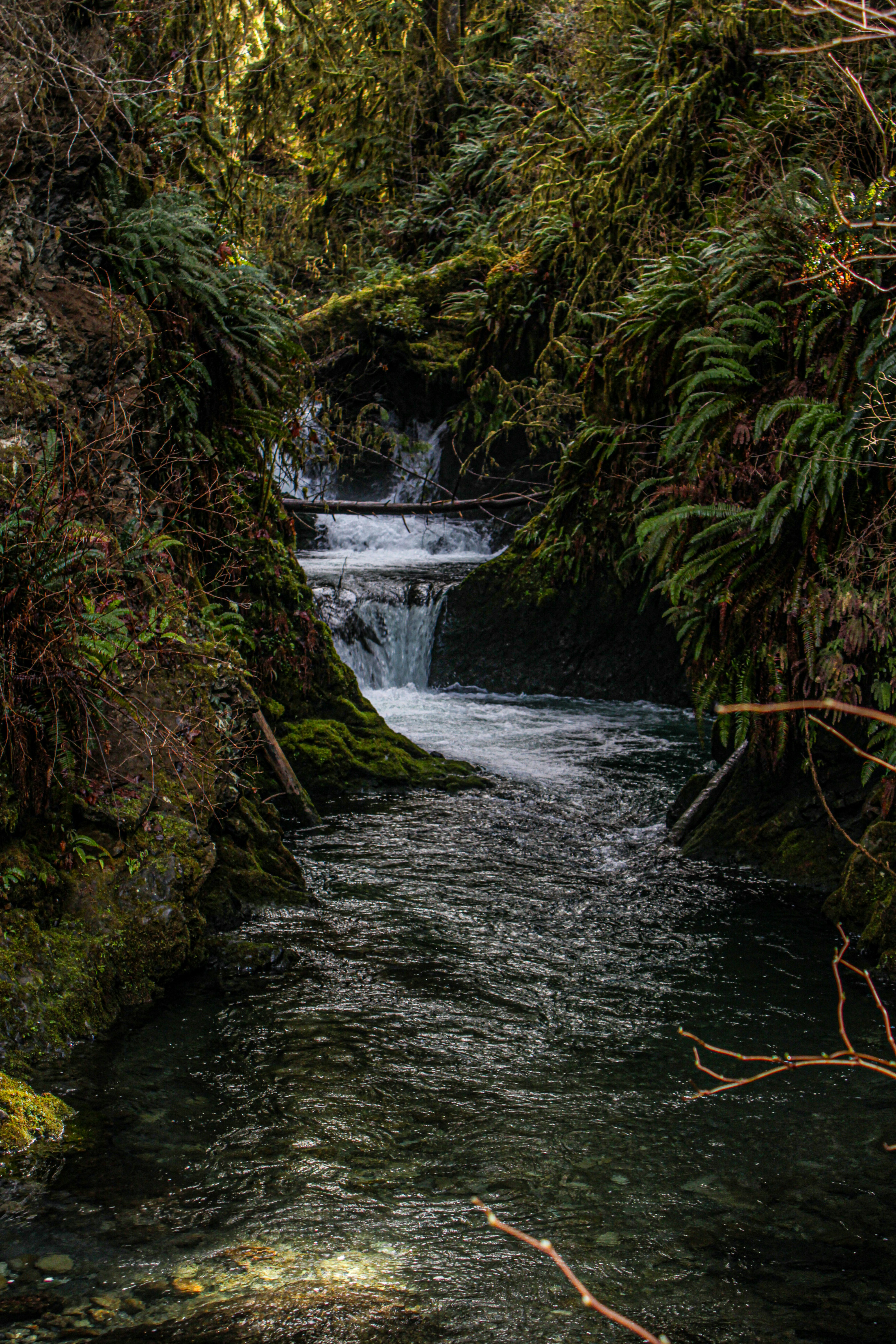 Photo by prphotography262