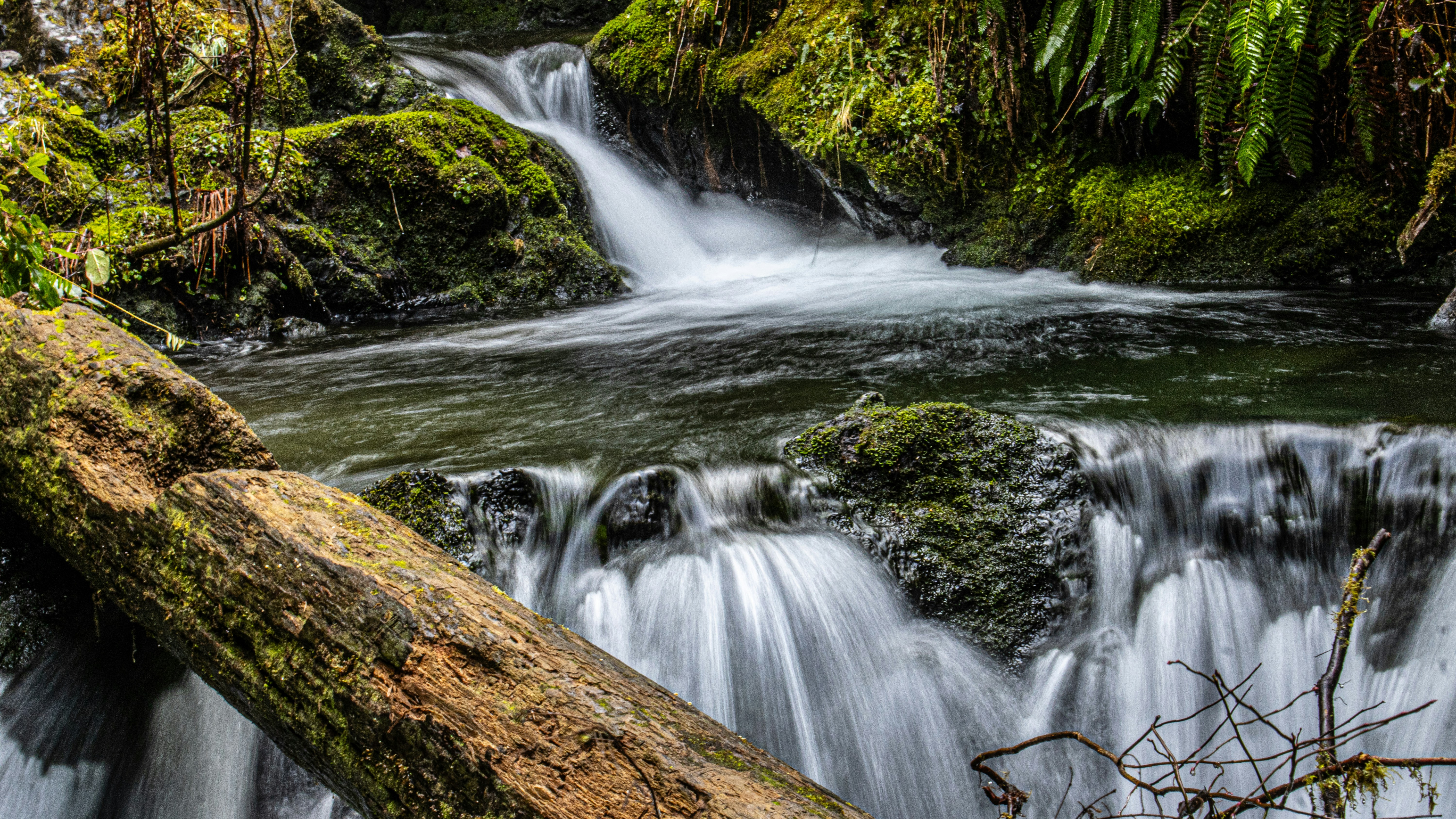 Photo by prphotography262