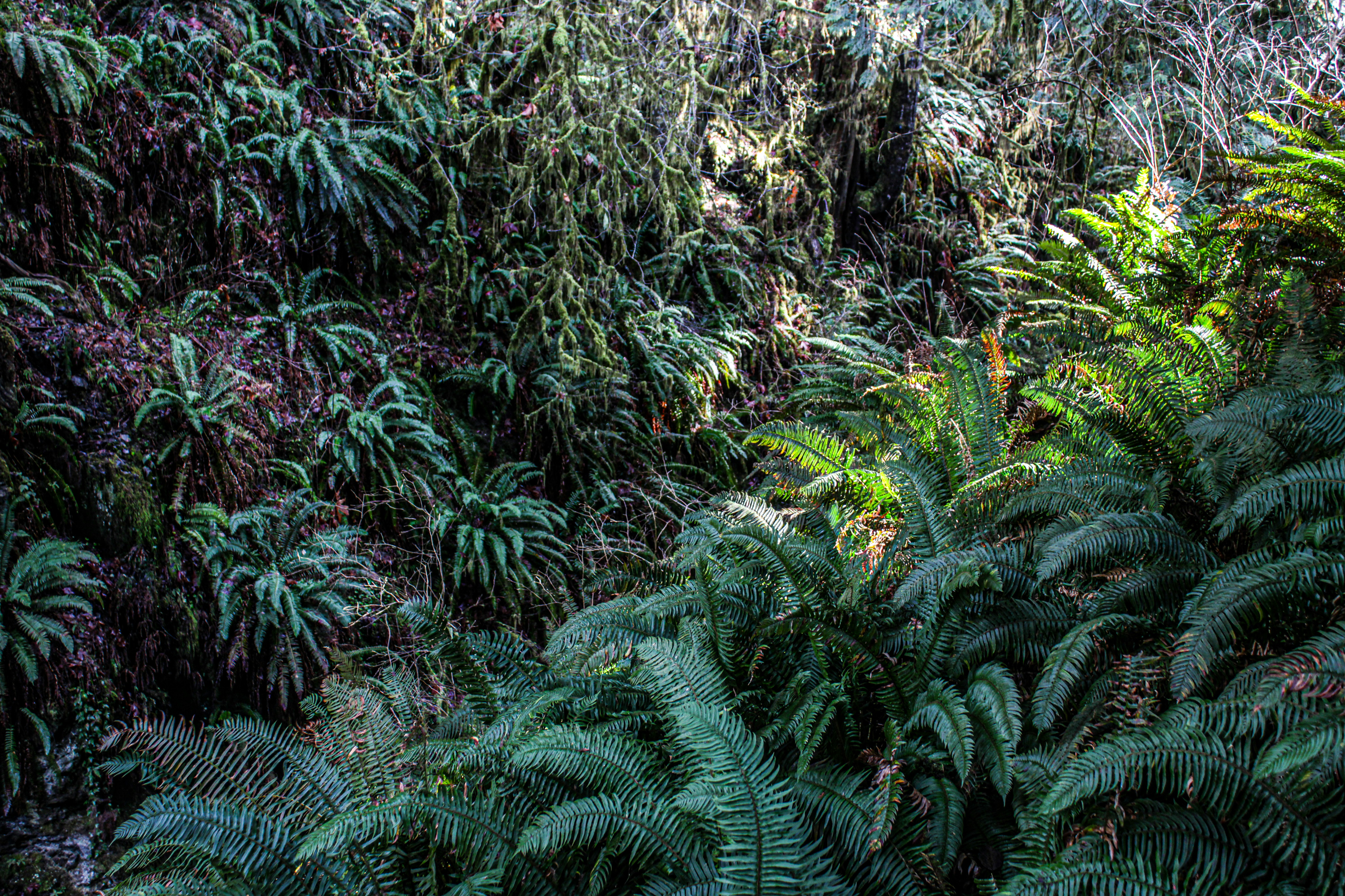 Photo by prphotography262