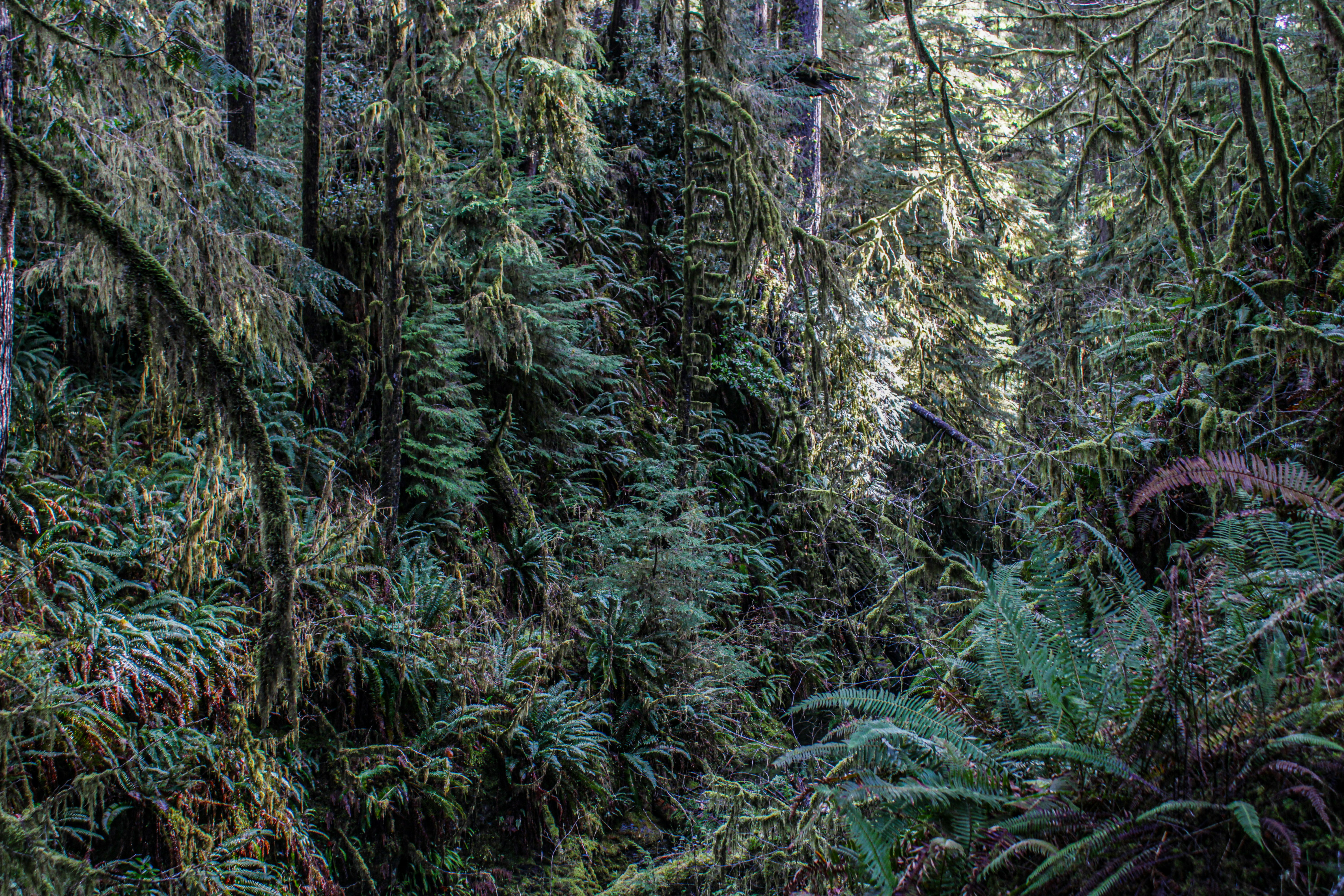 Photo by prphotography262