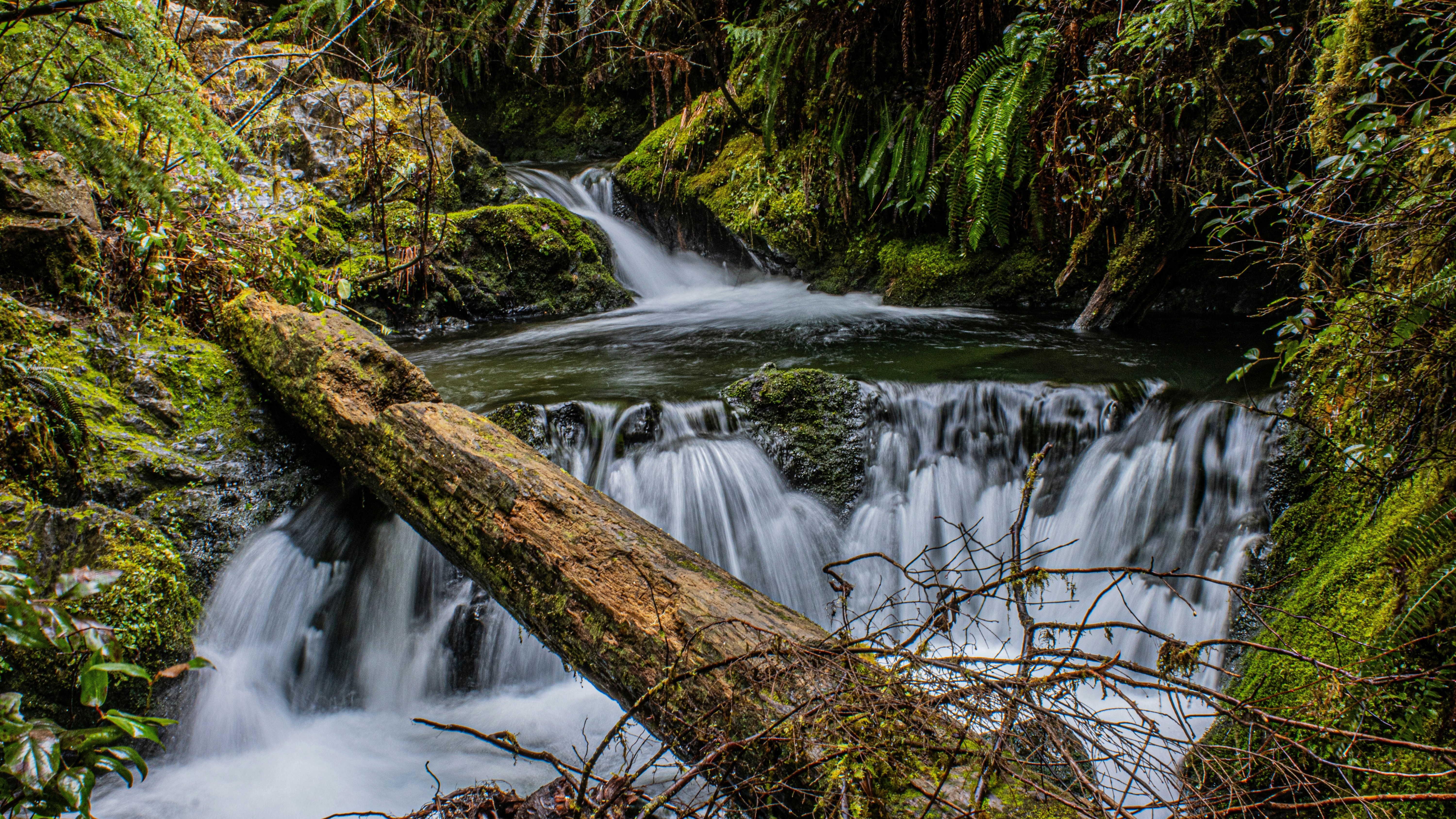 Photo by prphotography262