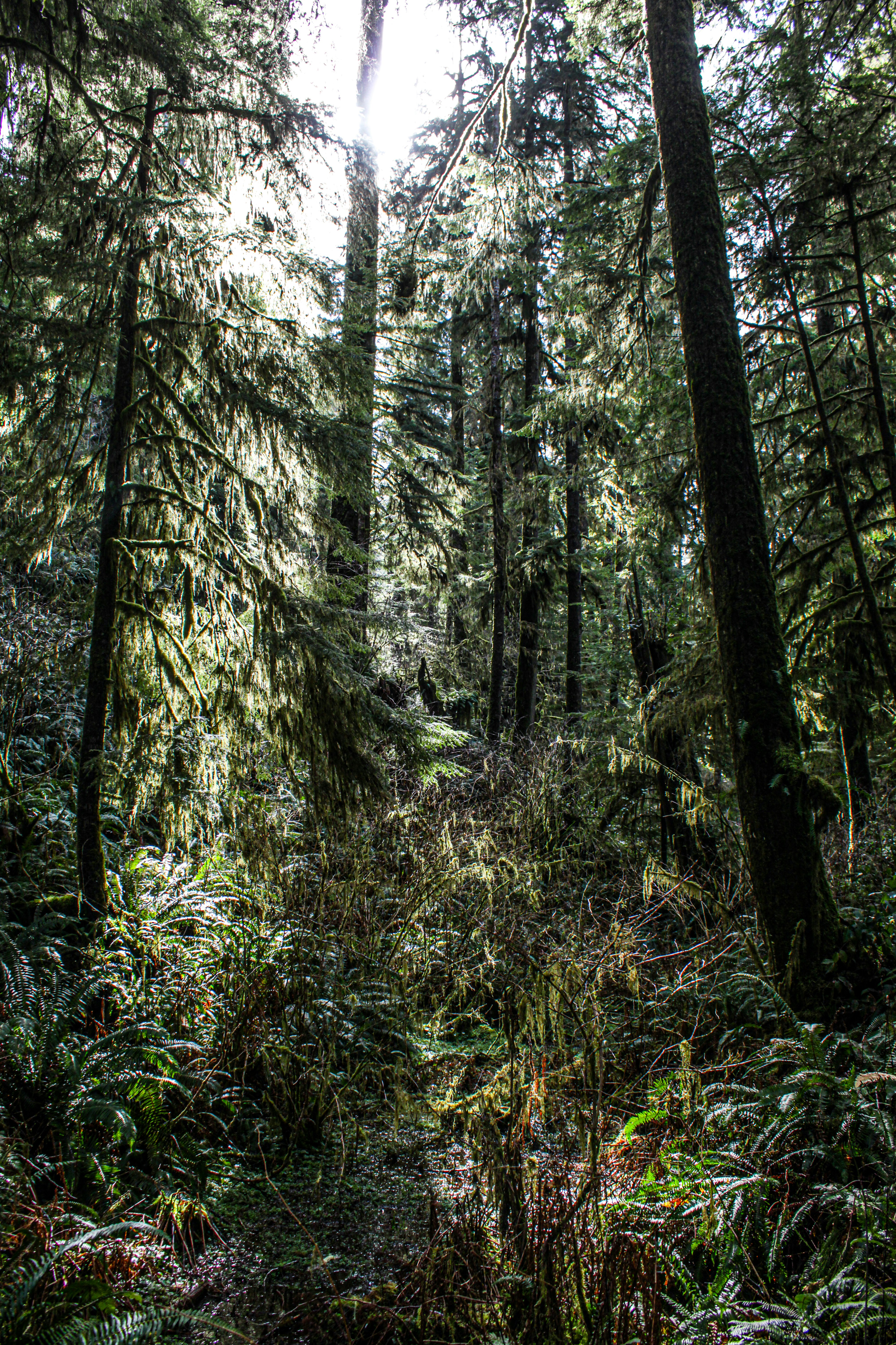 Photo by prphotography262