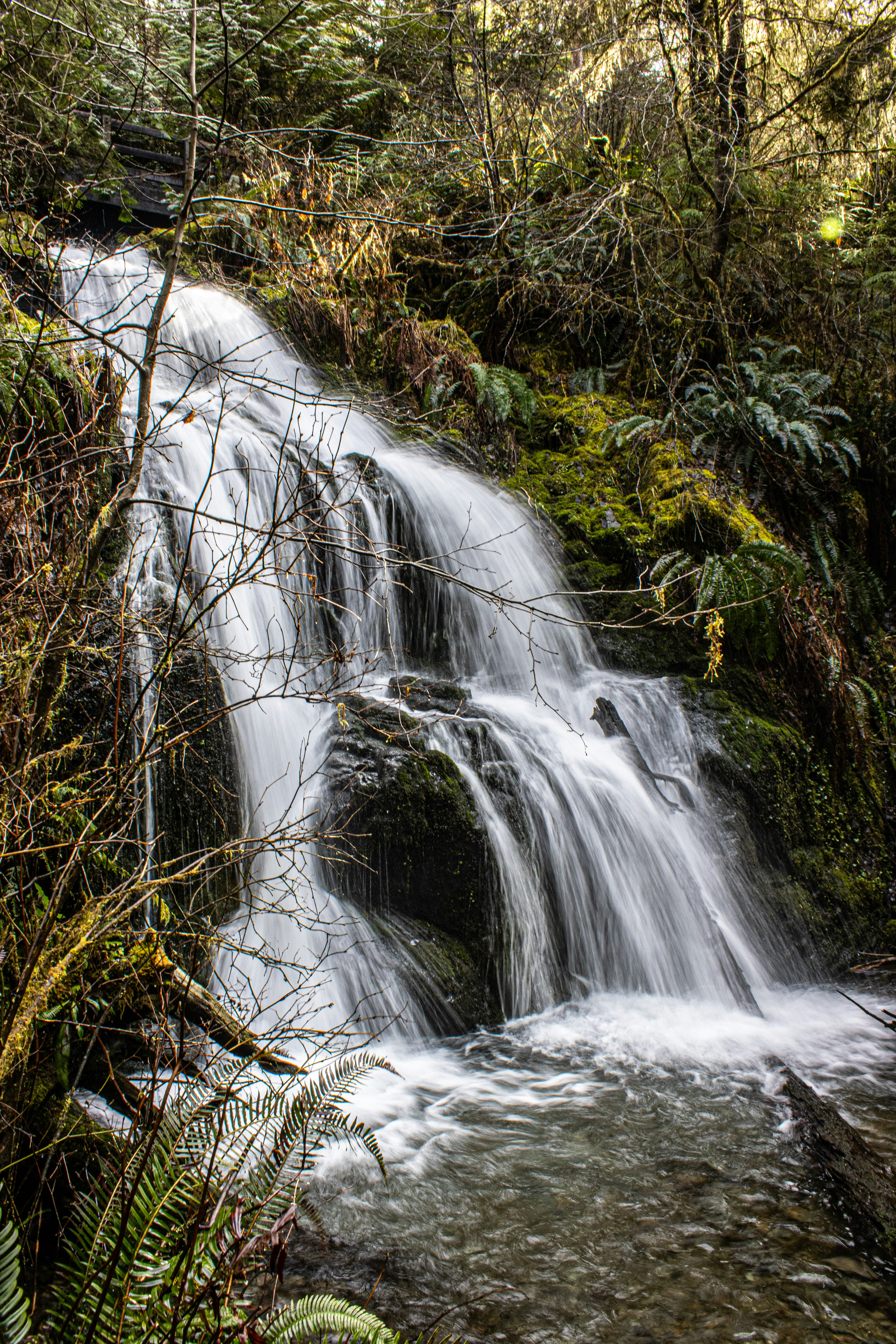 Photo by prphotography262