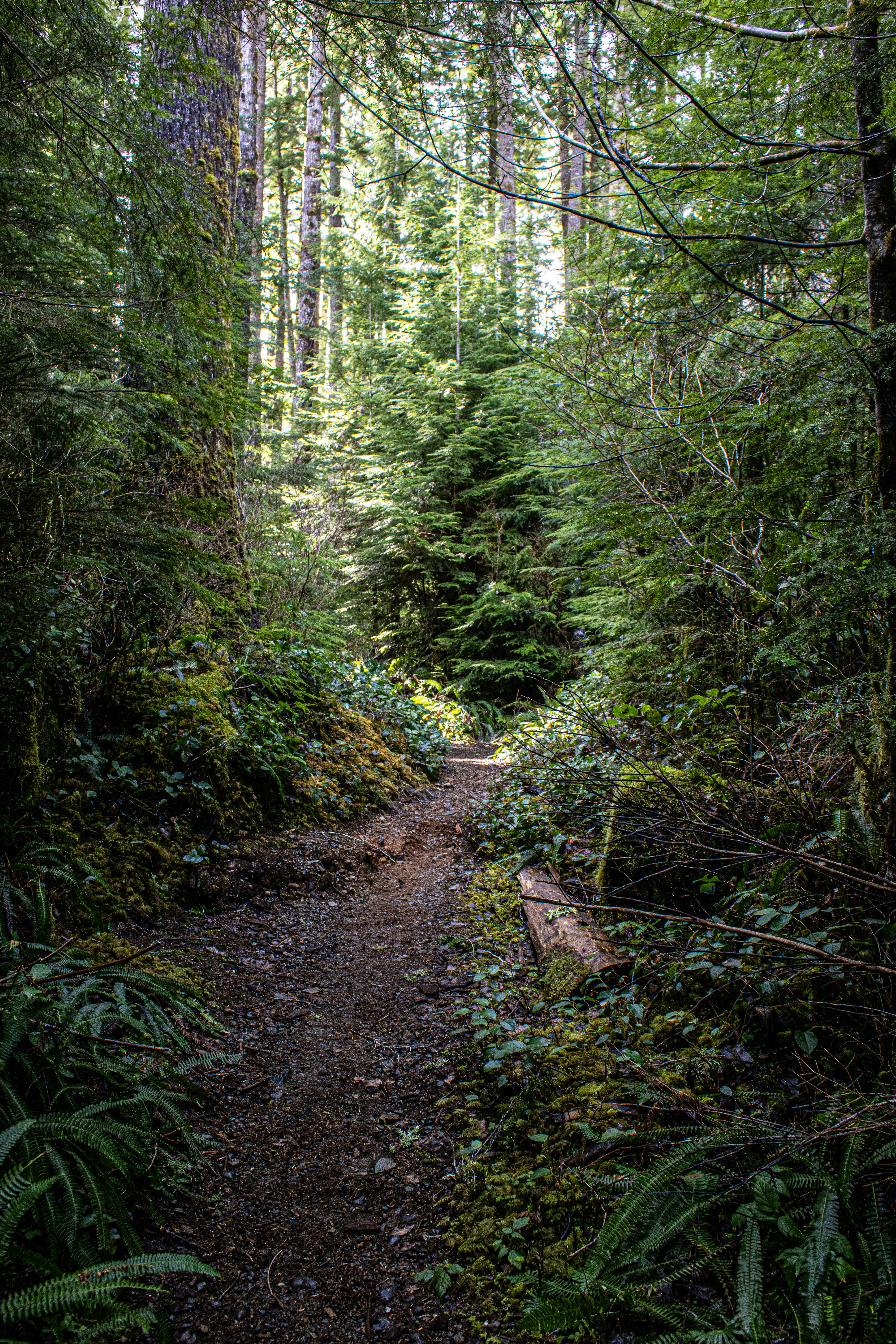 Photo by prphotography262