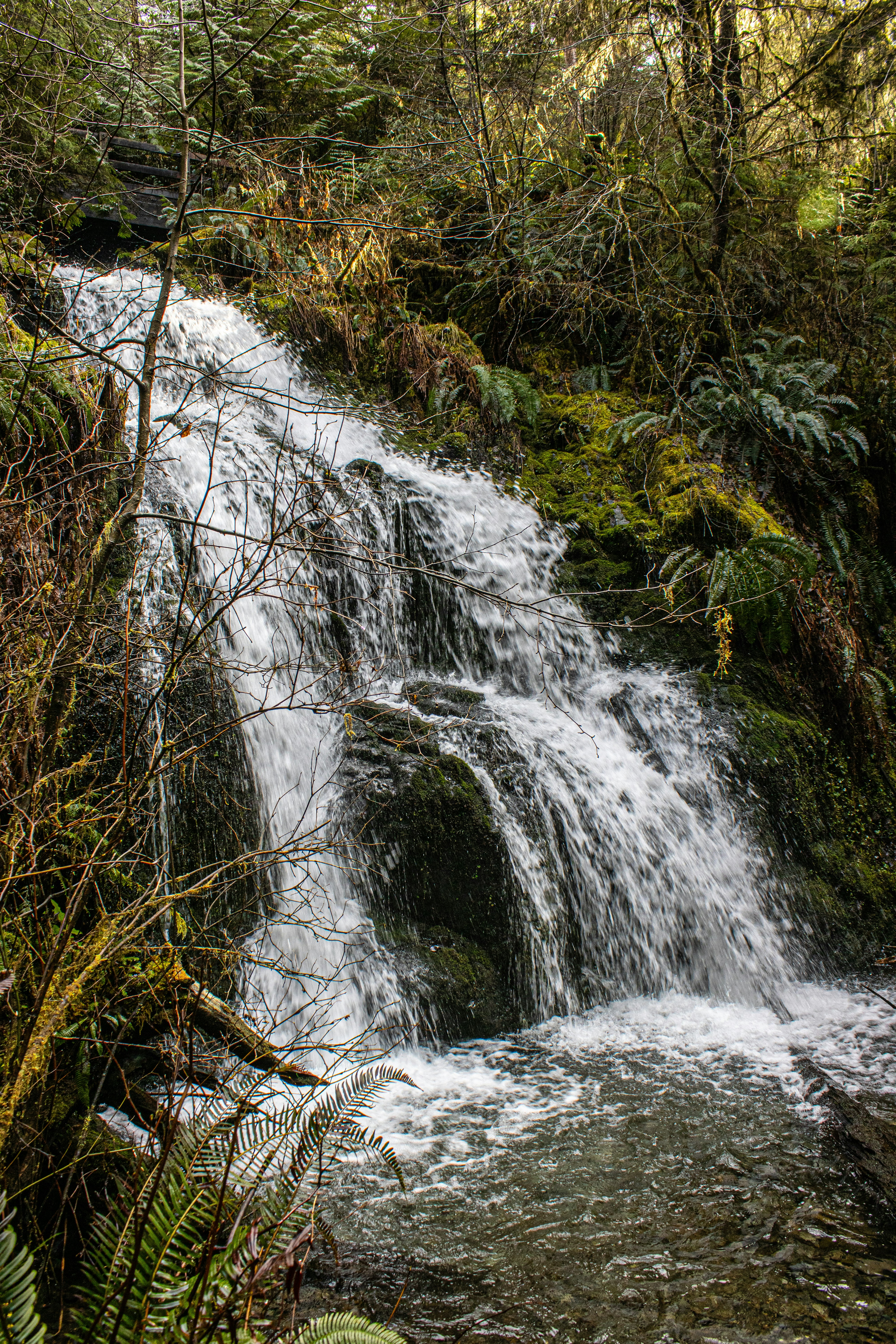 Photo by prphotography262