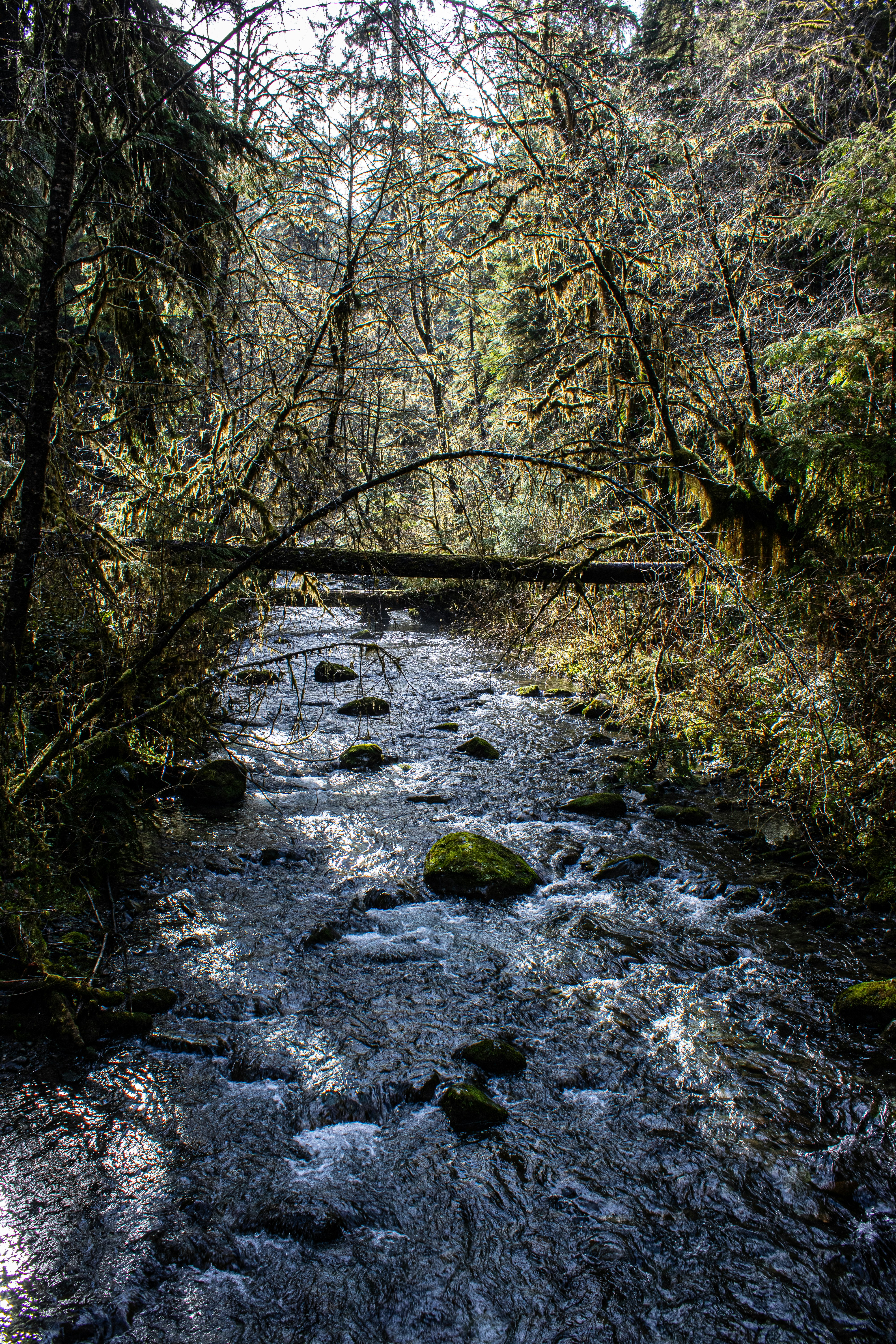 Photo by prphotography262