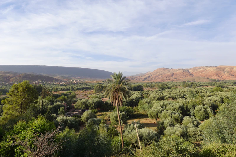 Best Eco-Friendly Resorts and Sustainable Stays in Casablanca