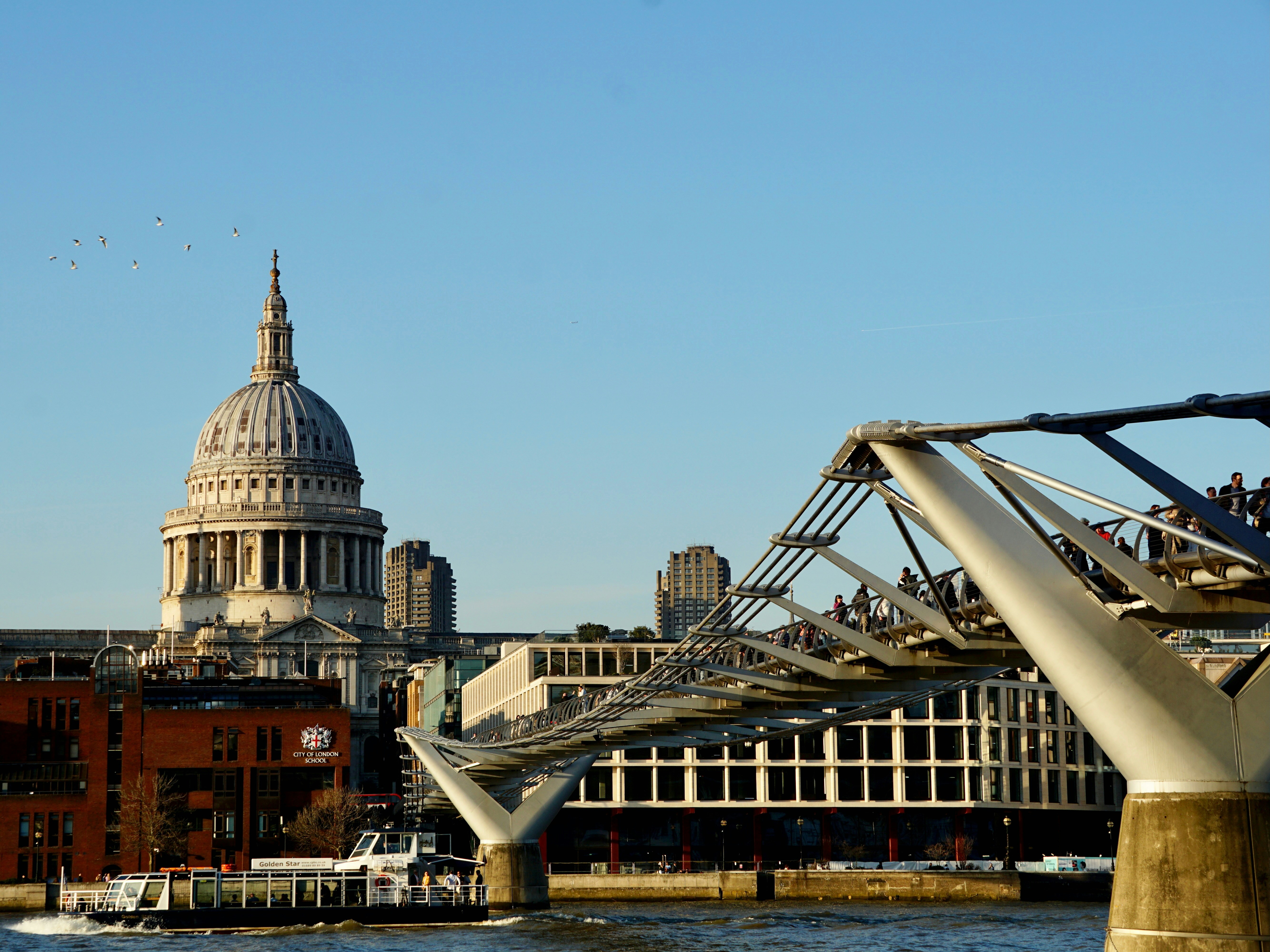 Photo by scarlettchy