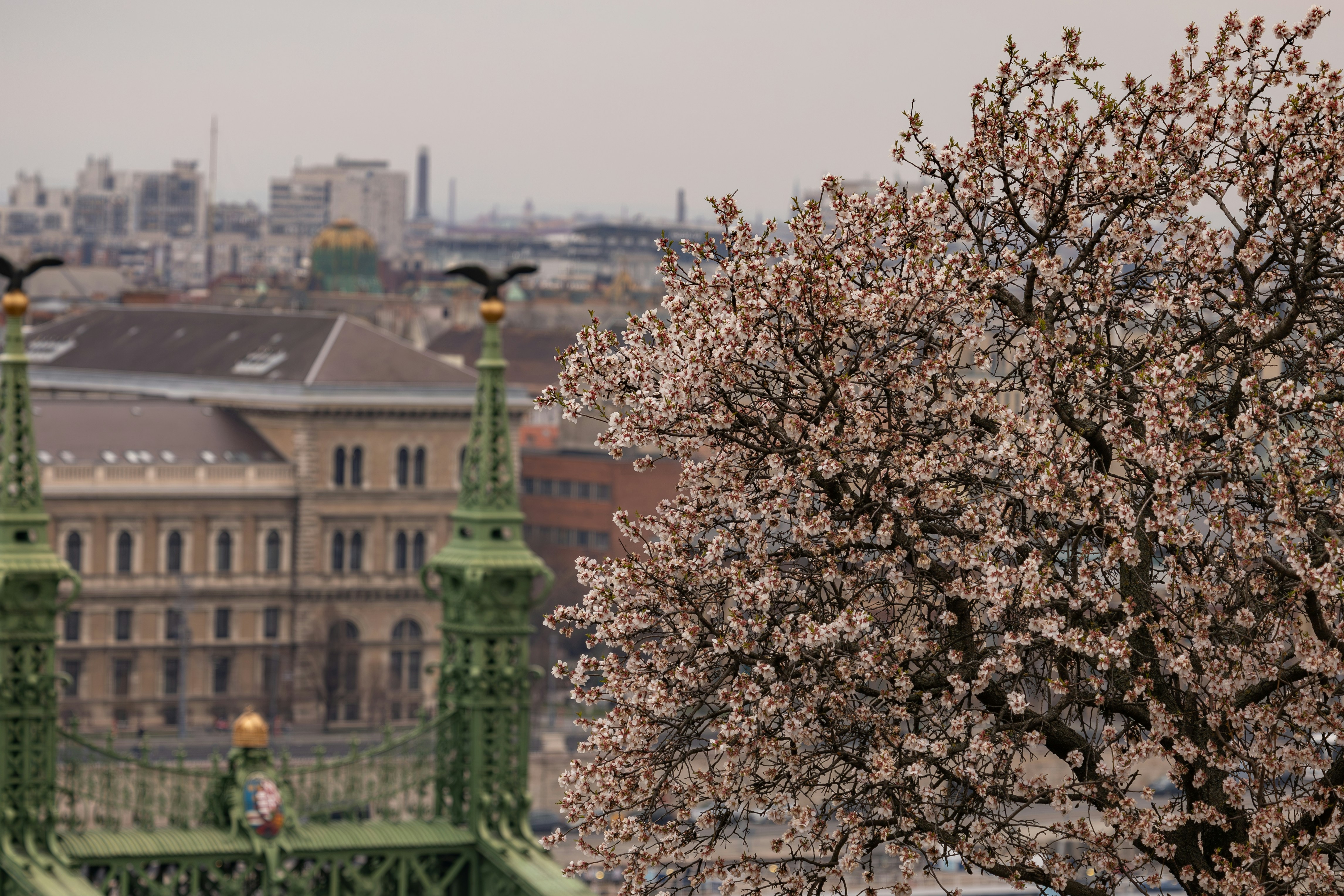 Image by István Gerényi via Unsplash