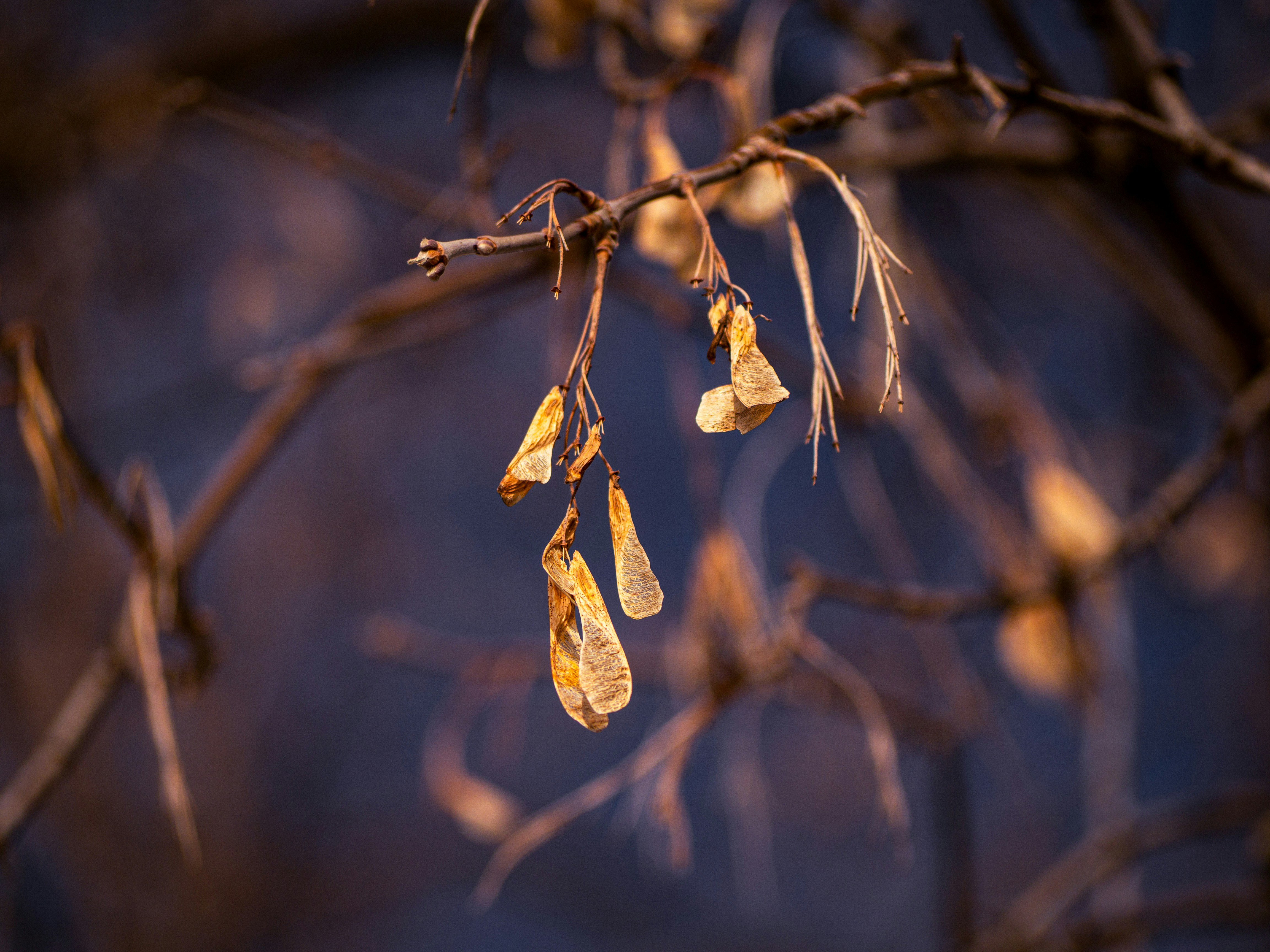 Photo by samueljames16