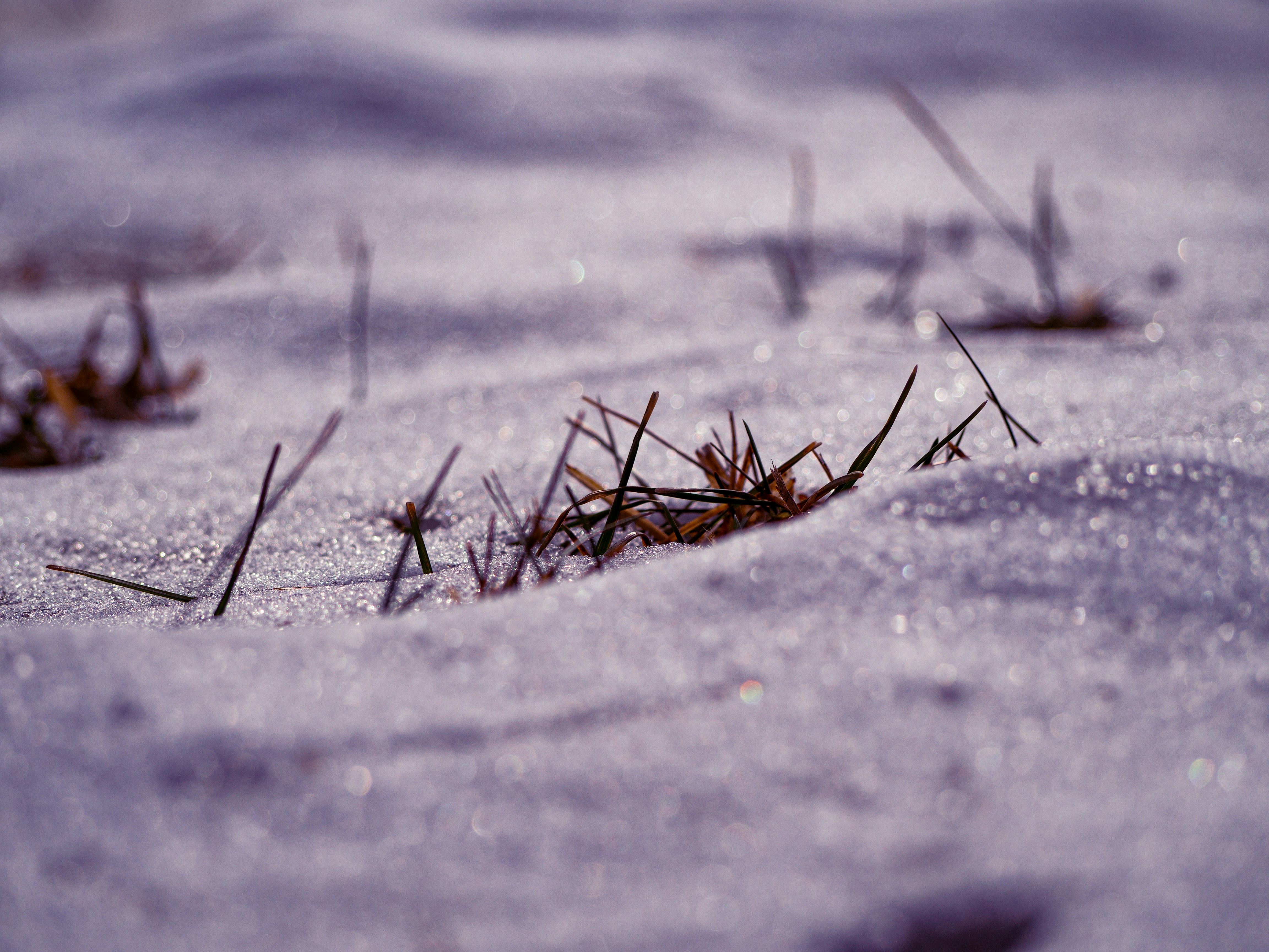 Photo by samueljames16