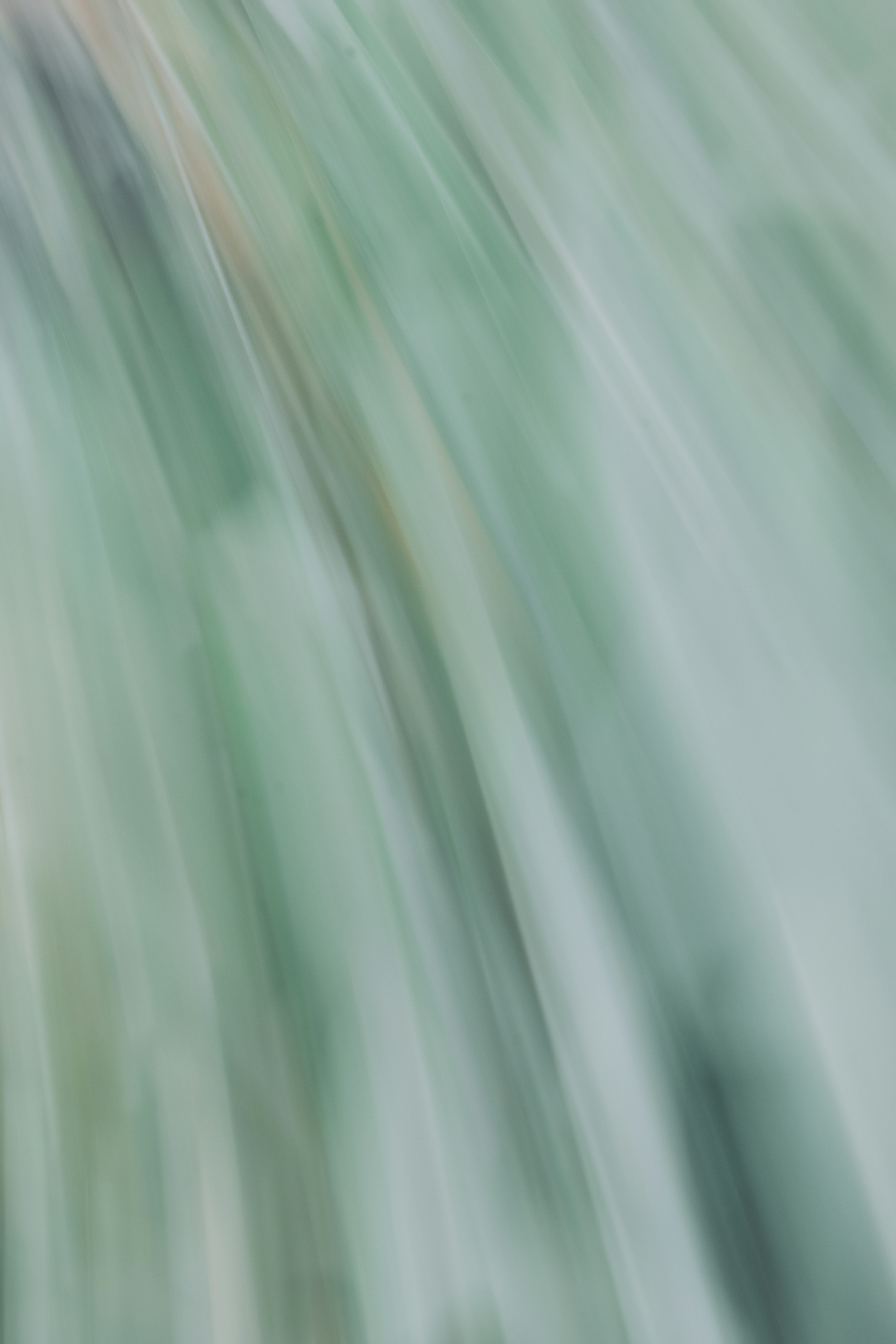 Photo by mahdibafande