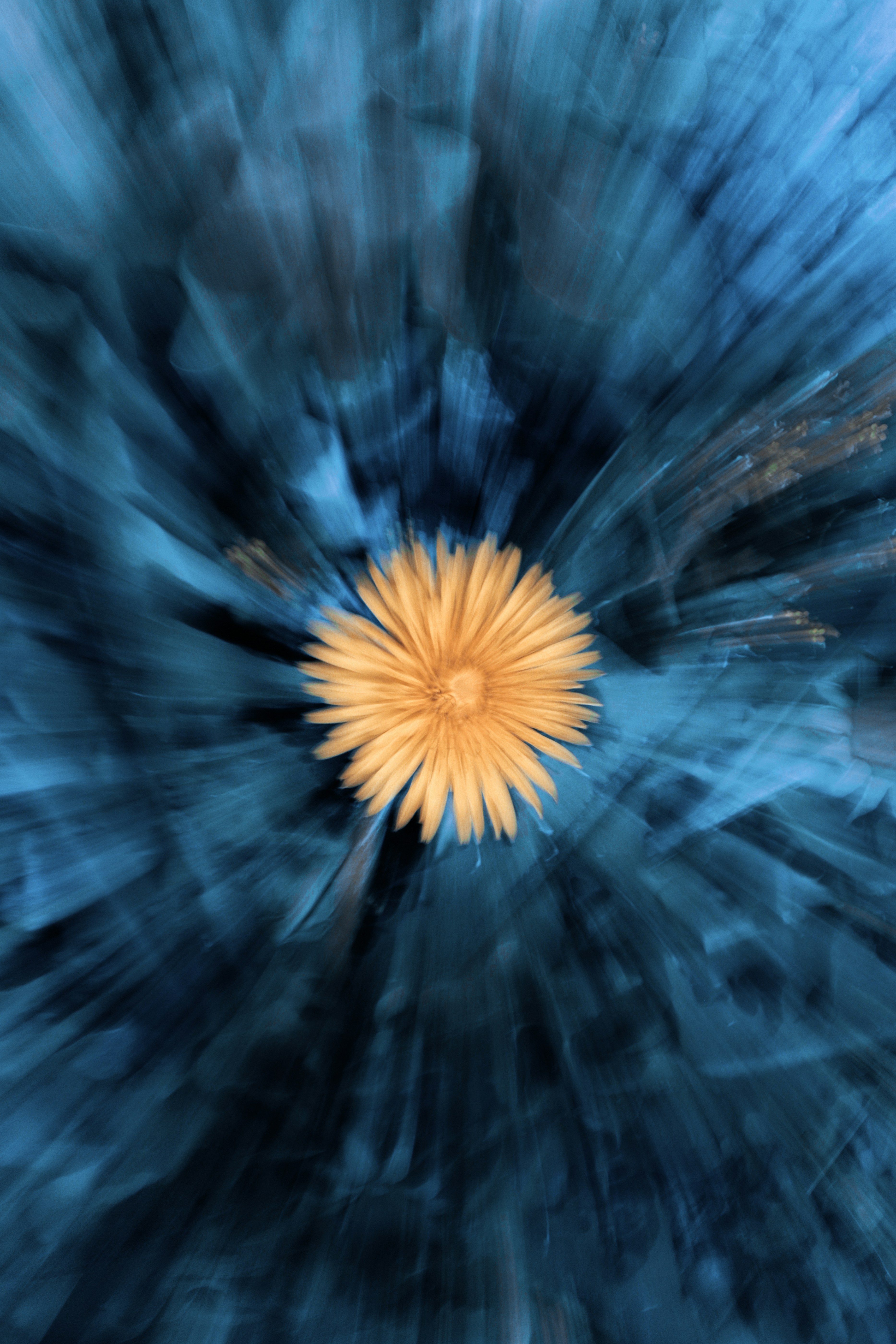 Photo by mahdibafande