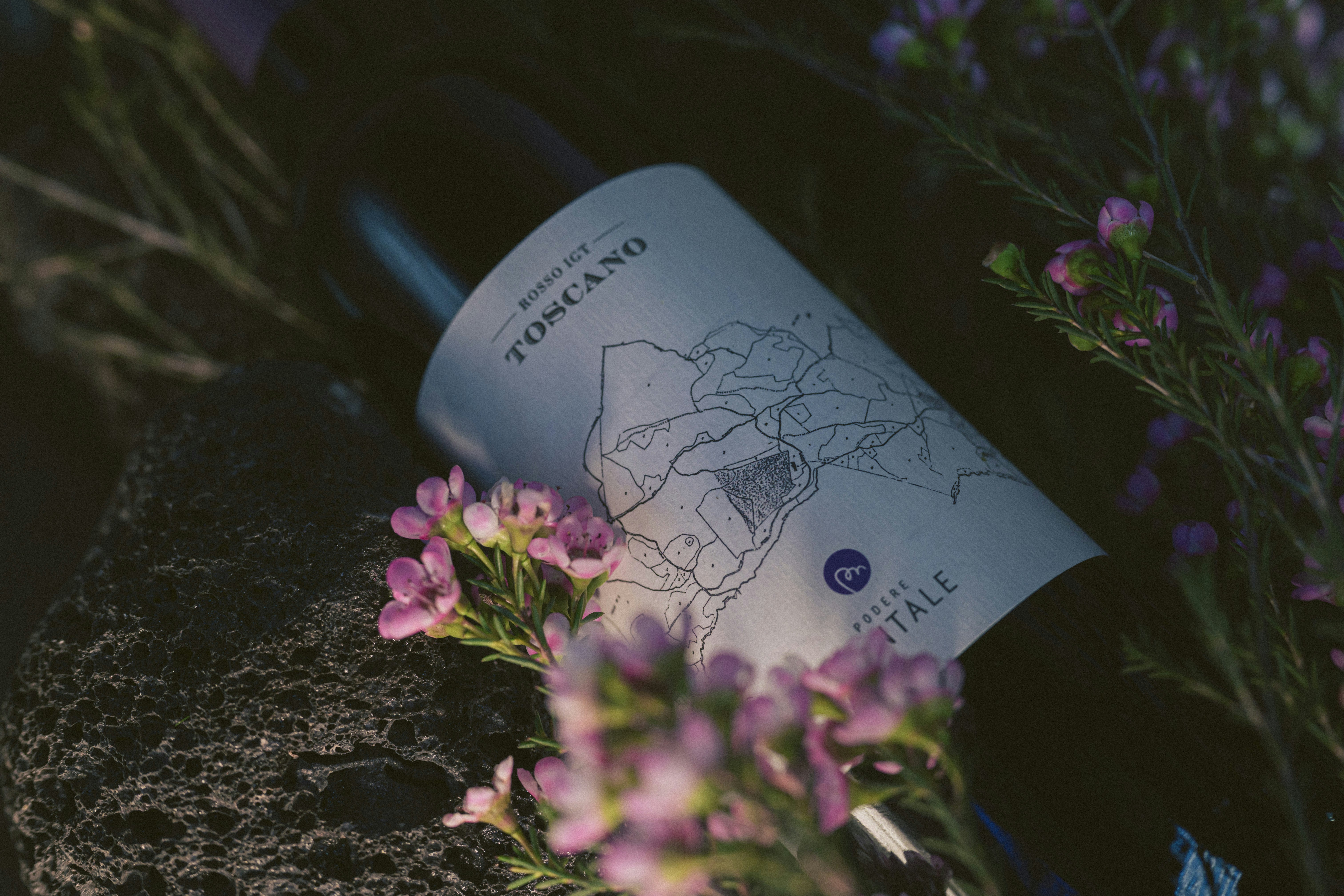 Photo by vonshnauzer