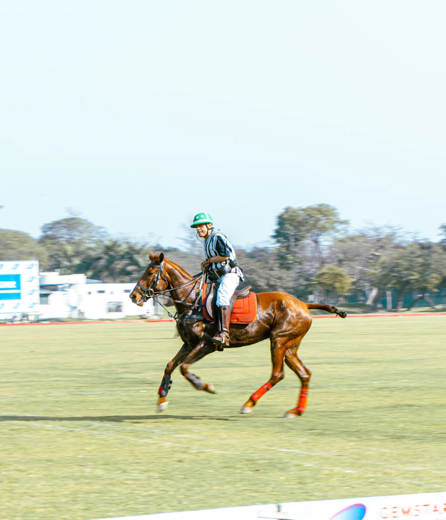 Sotogrande Polo - joueur de polo au galop