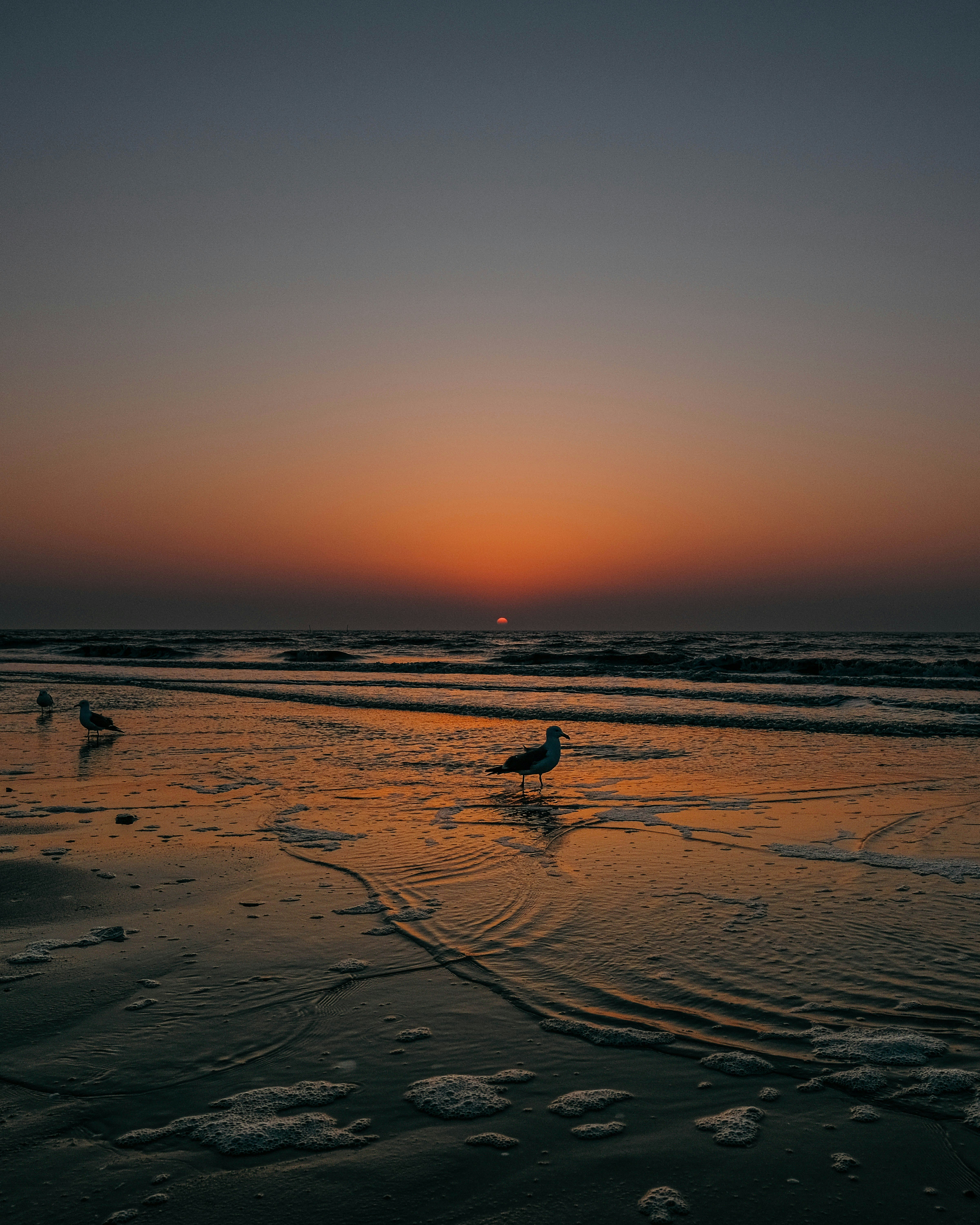 Photo by insungpandora