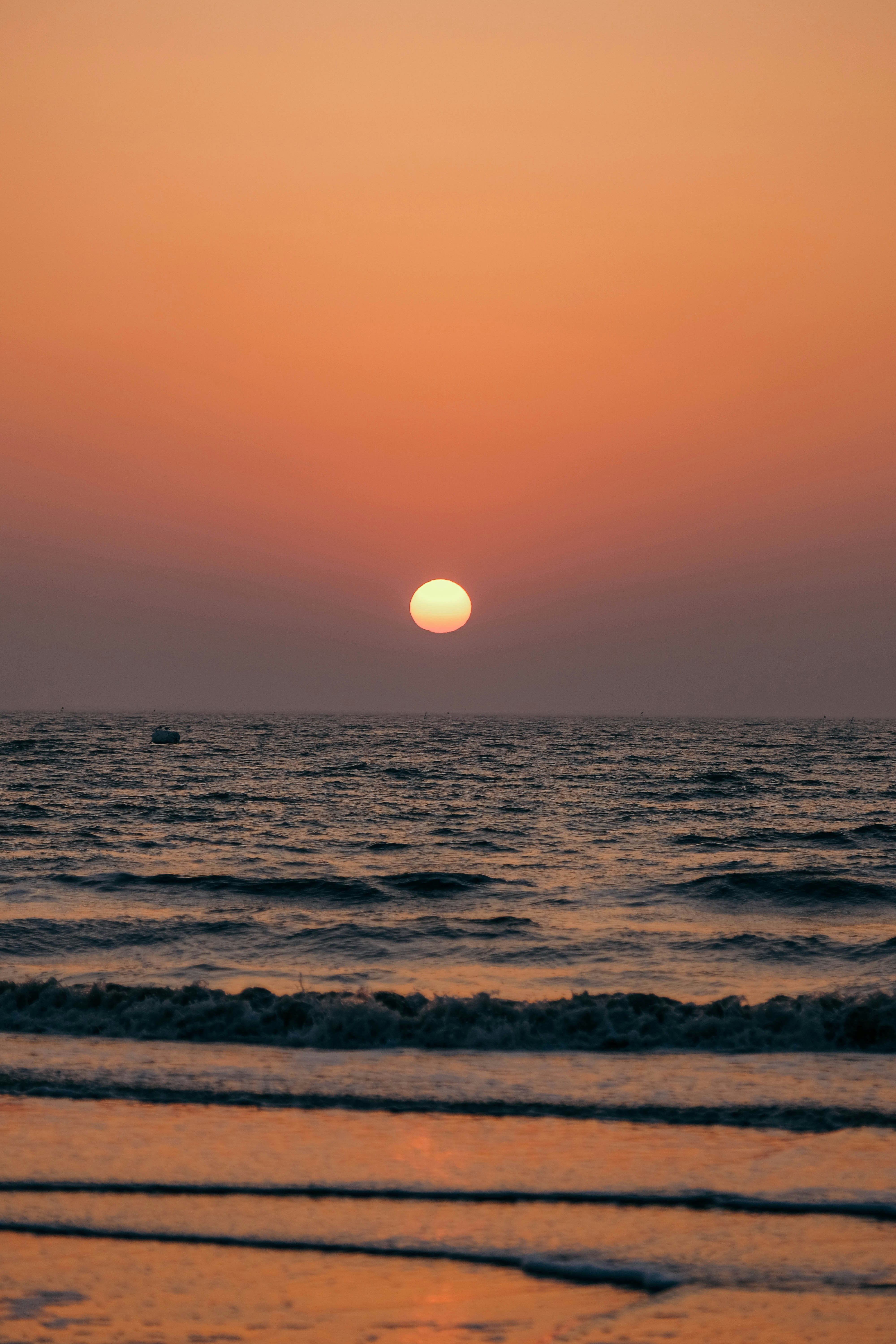 Photo by insungpandora