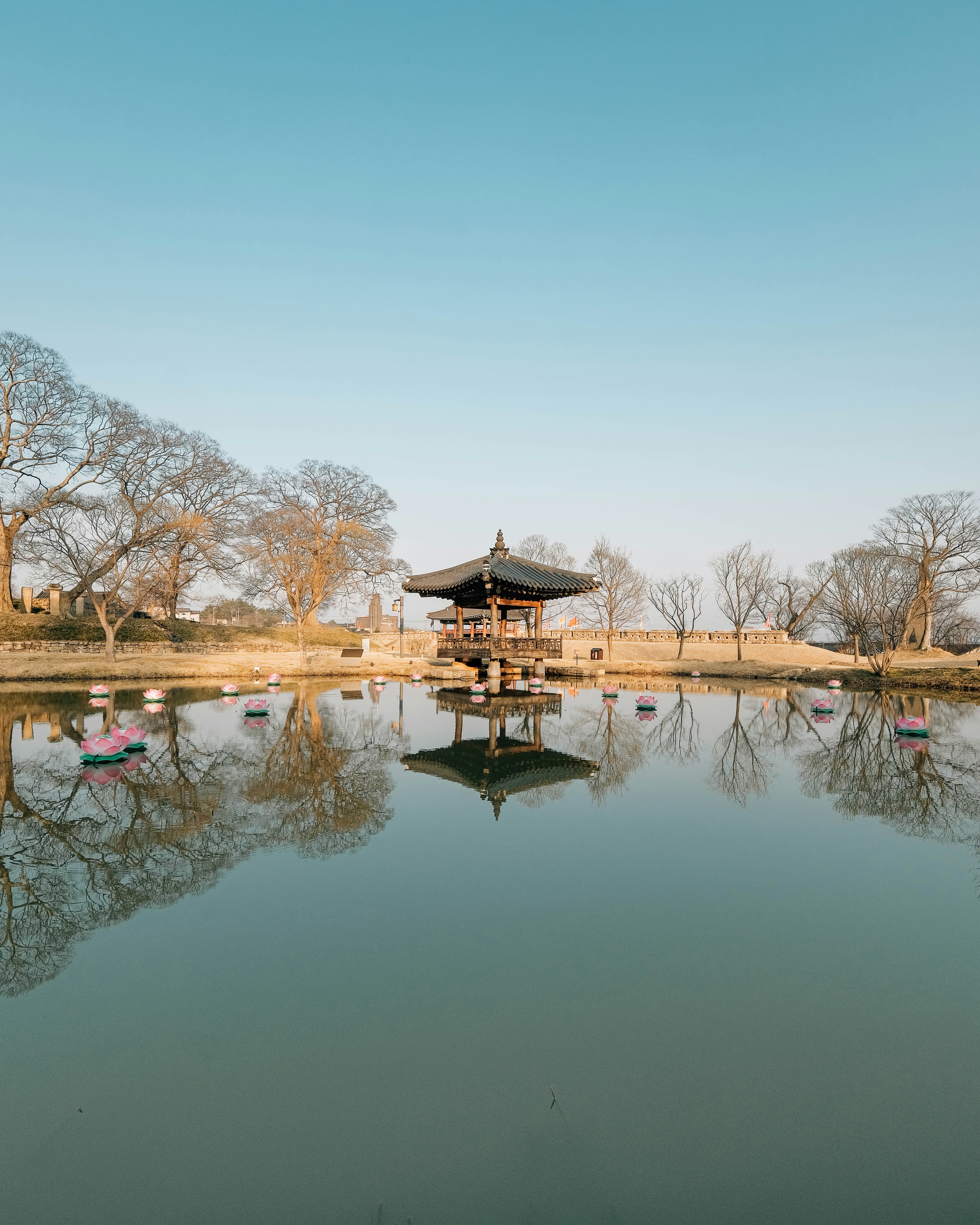 Photo by insungpandora