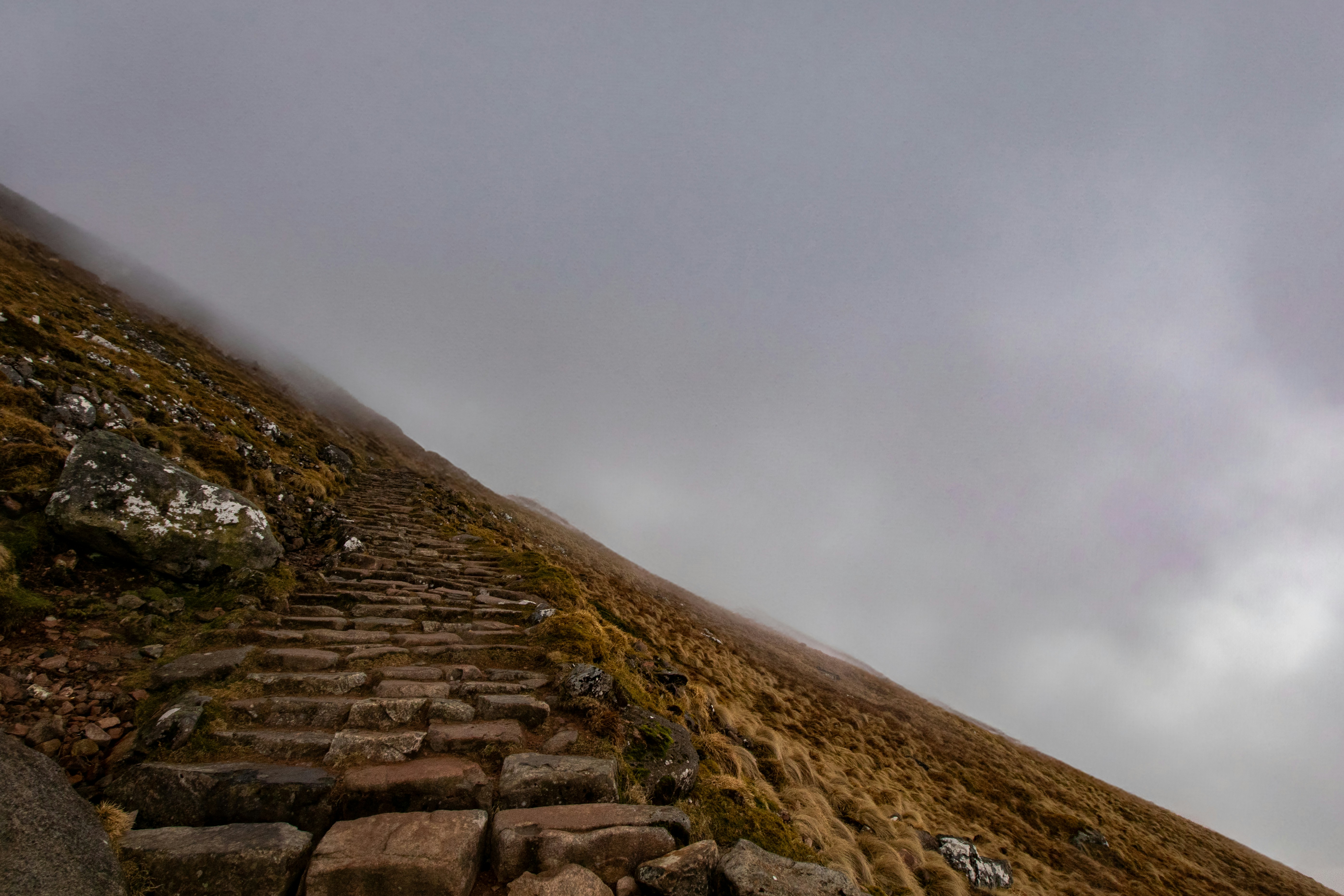 Photo by tpminettphotography