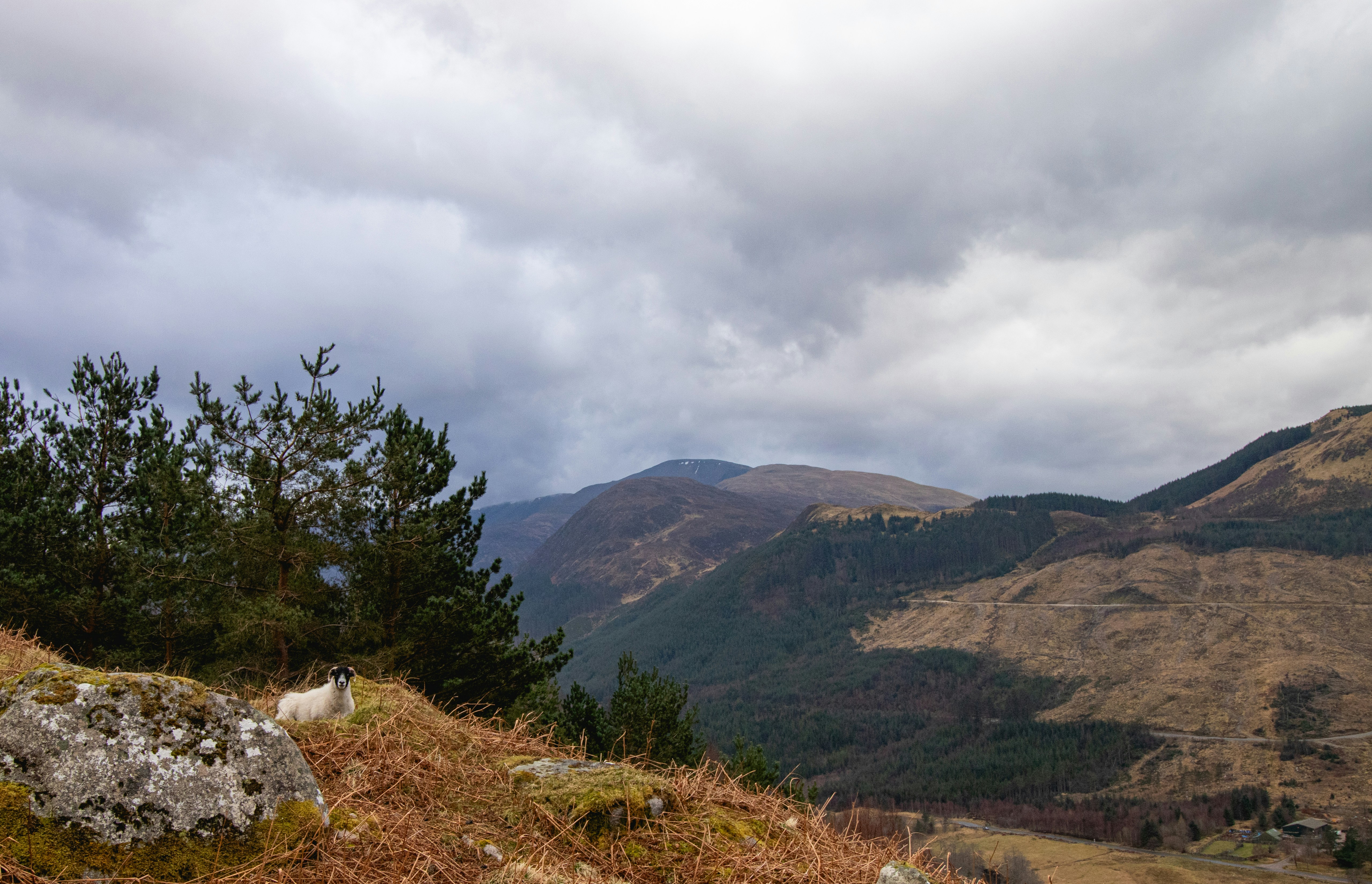 Photo by tpminettphotography