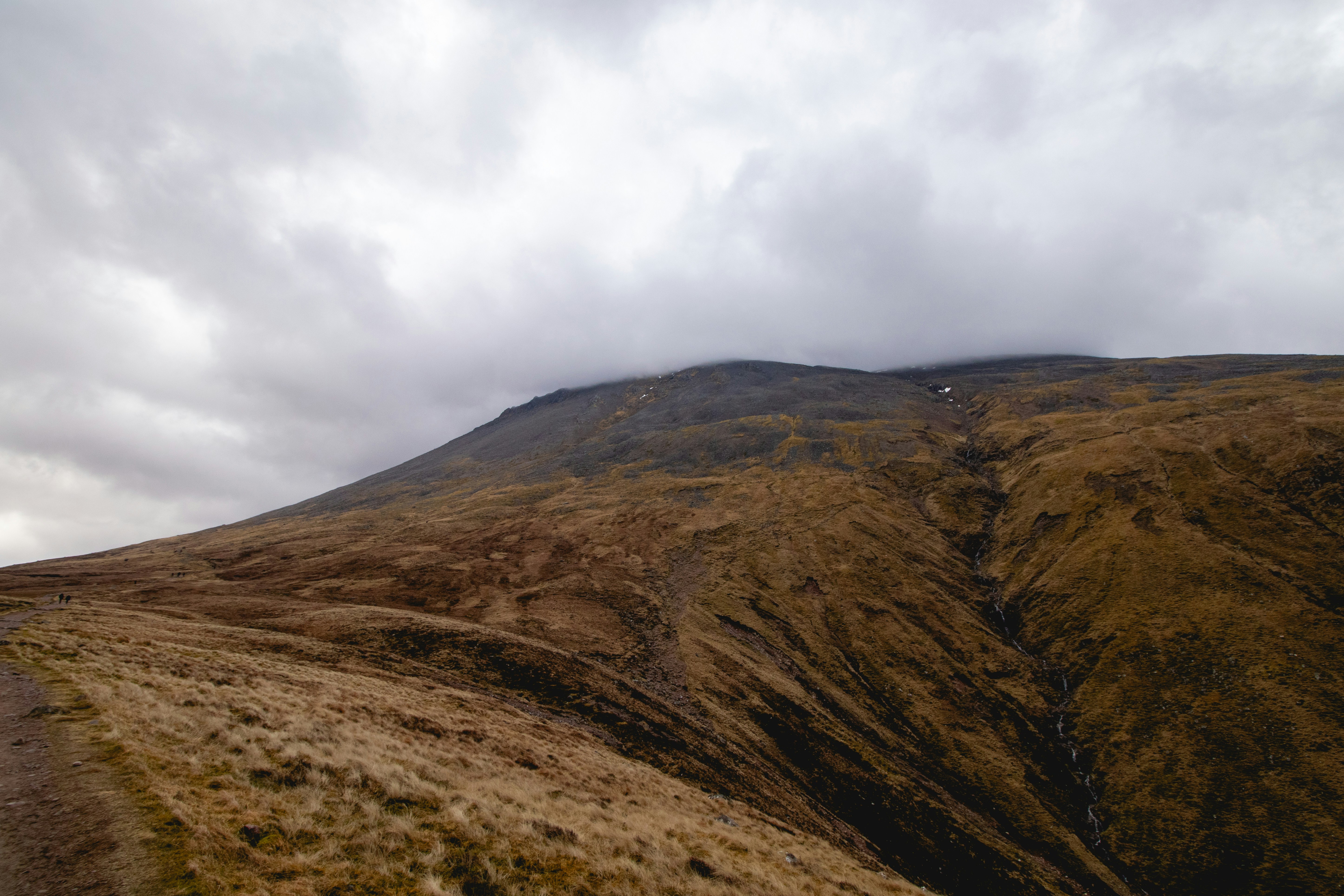 Photo by tpminettphotography