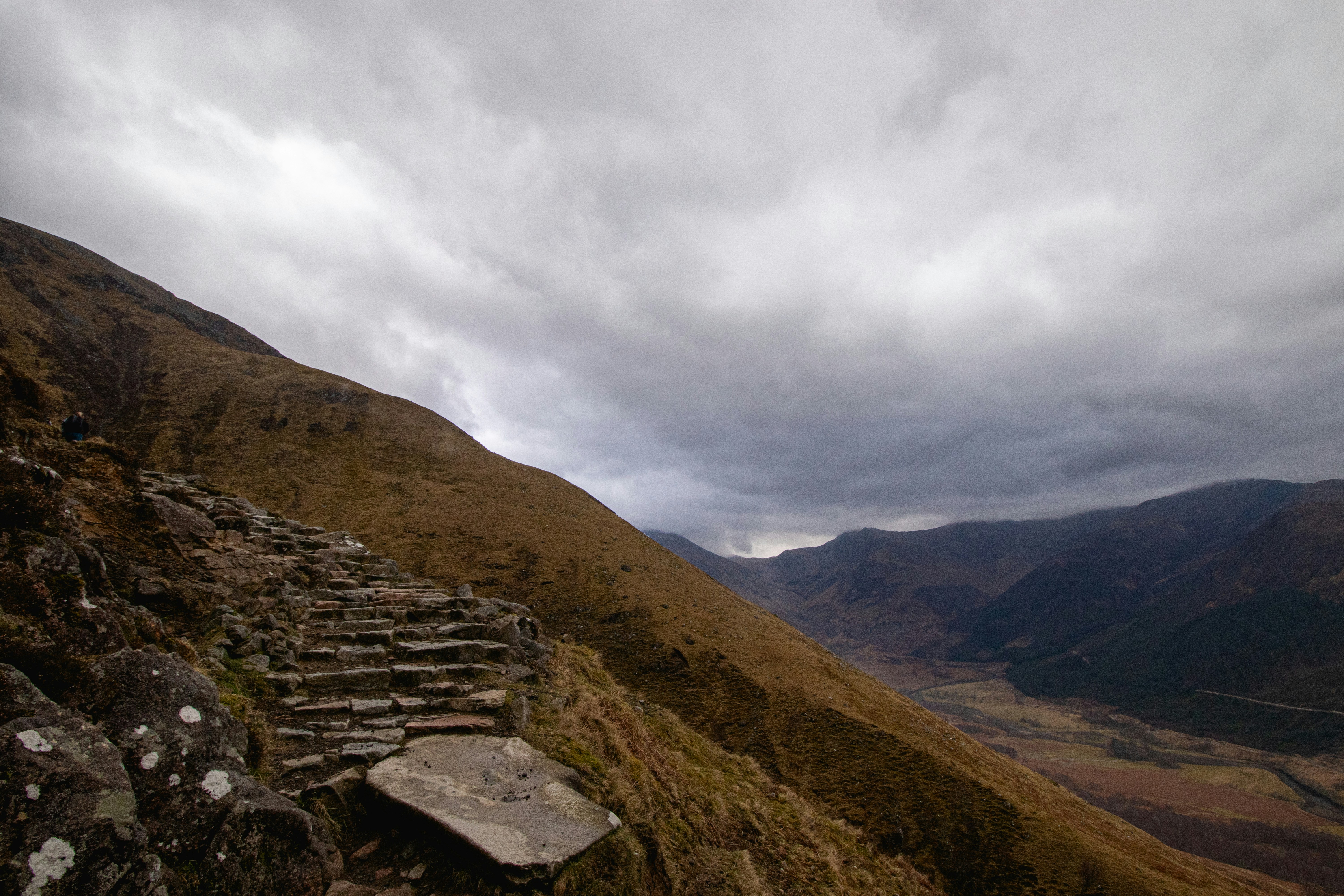 Photo by tpminettphotography