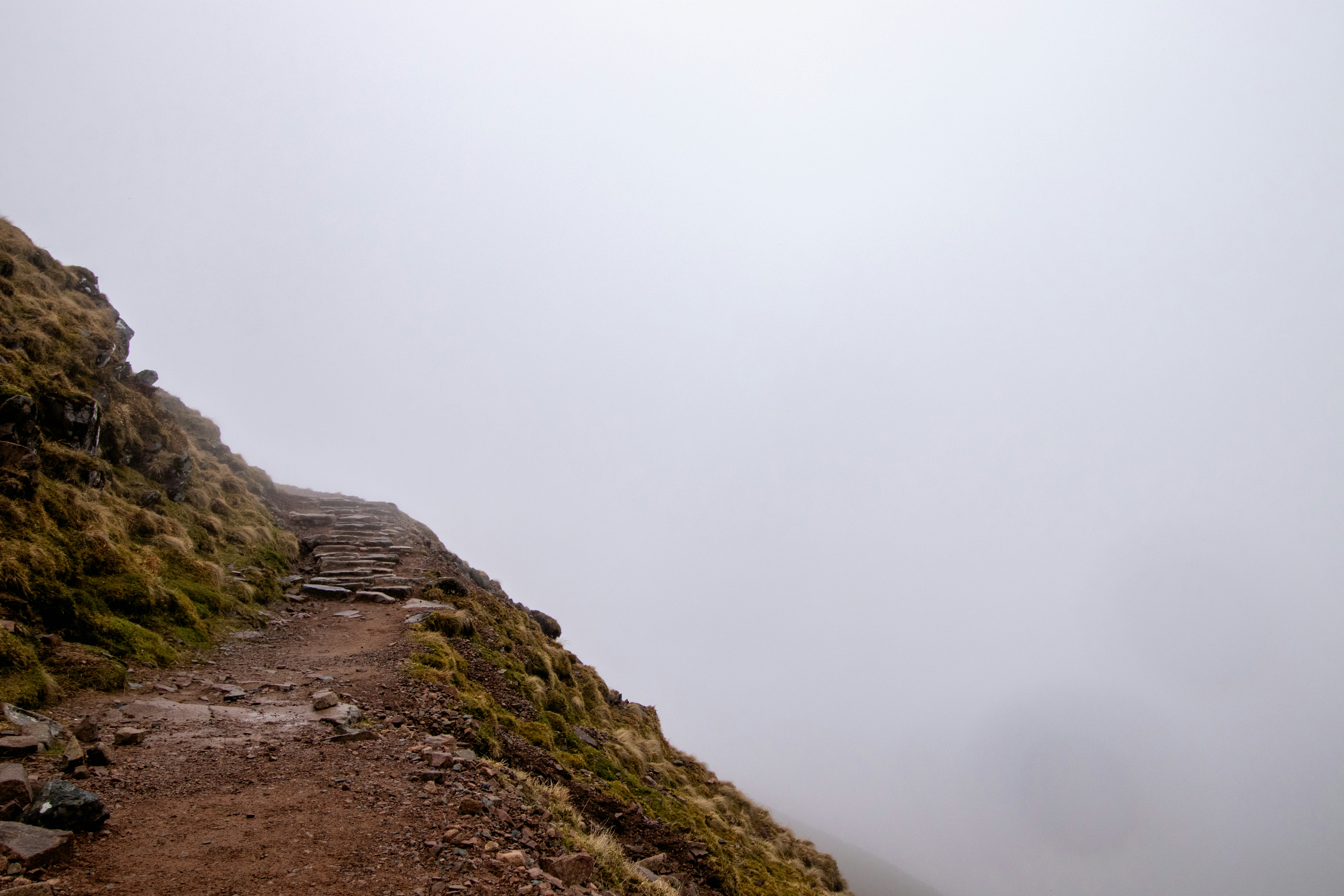 Photo by tpminettphotography