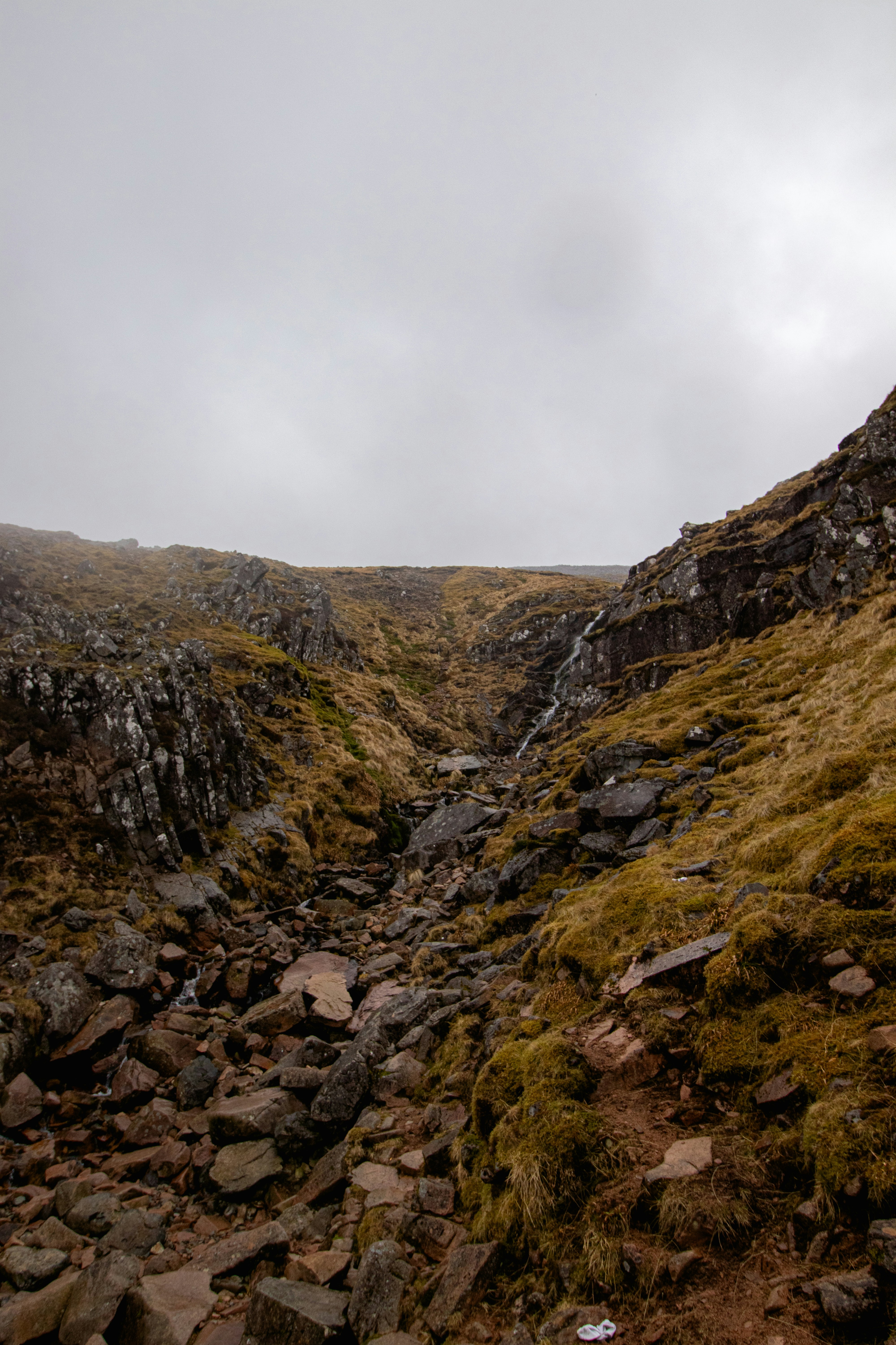 Photo by tpminettphotography