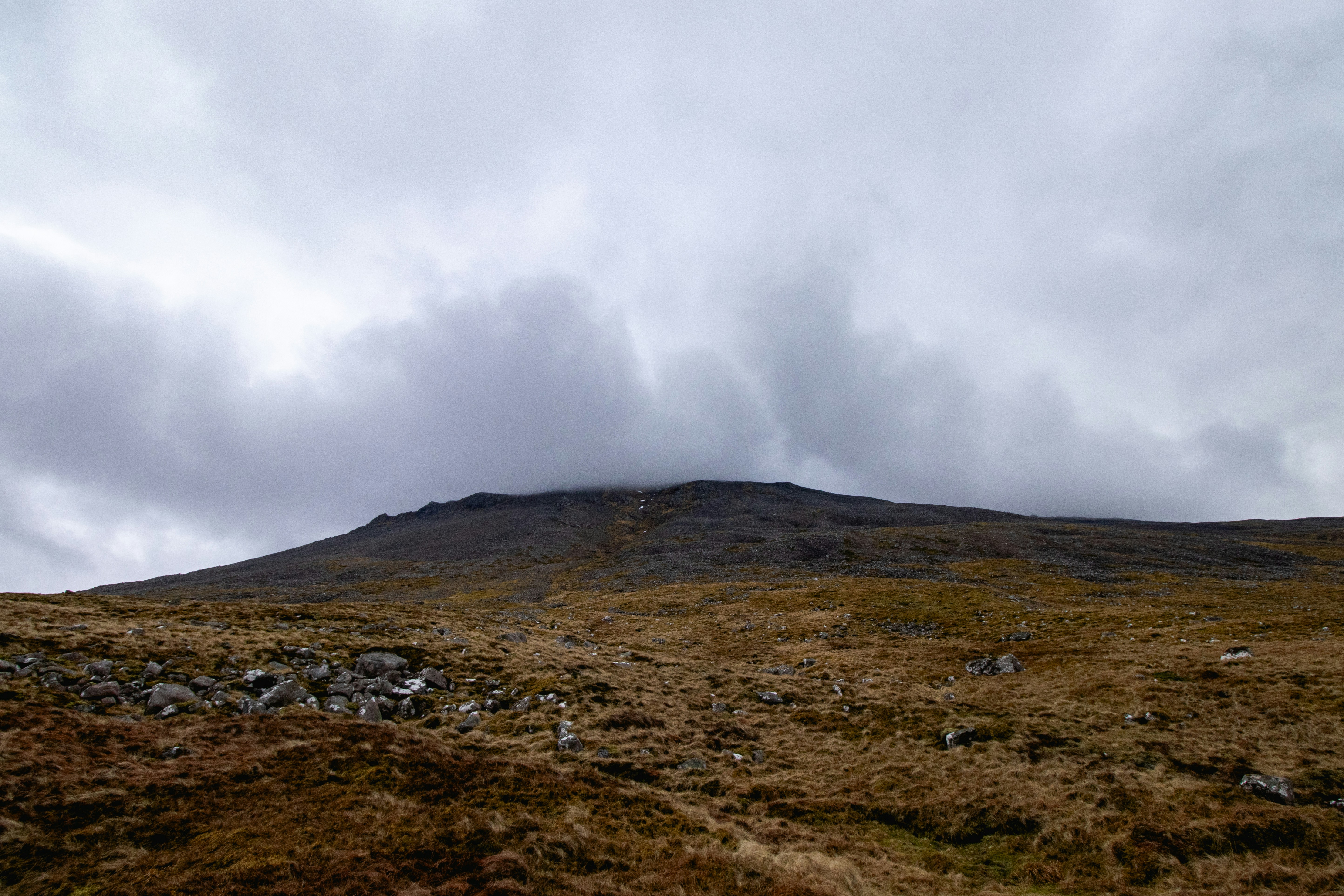 Photo by tpminettphotography