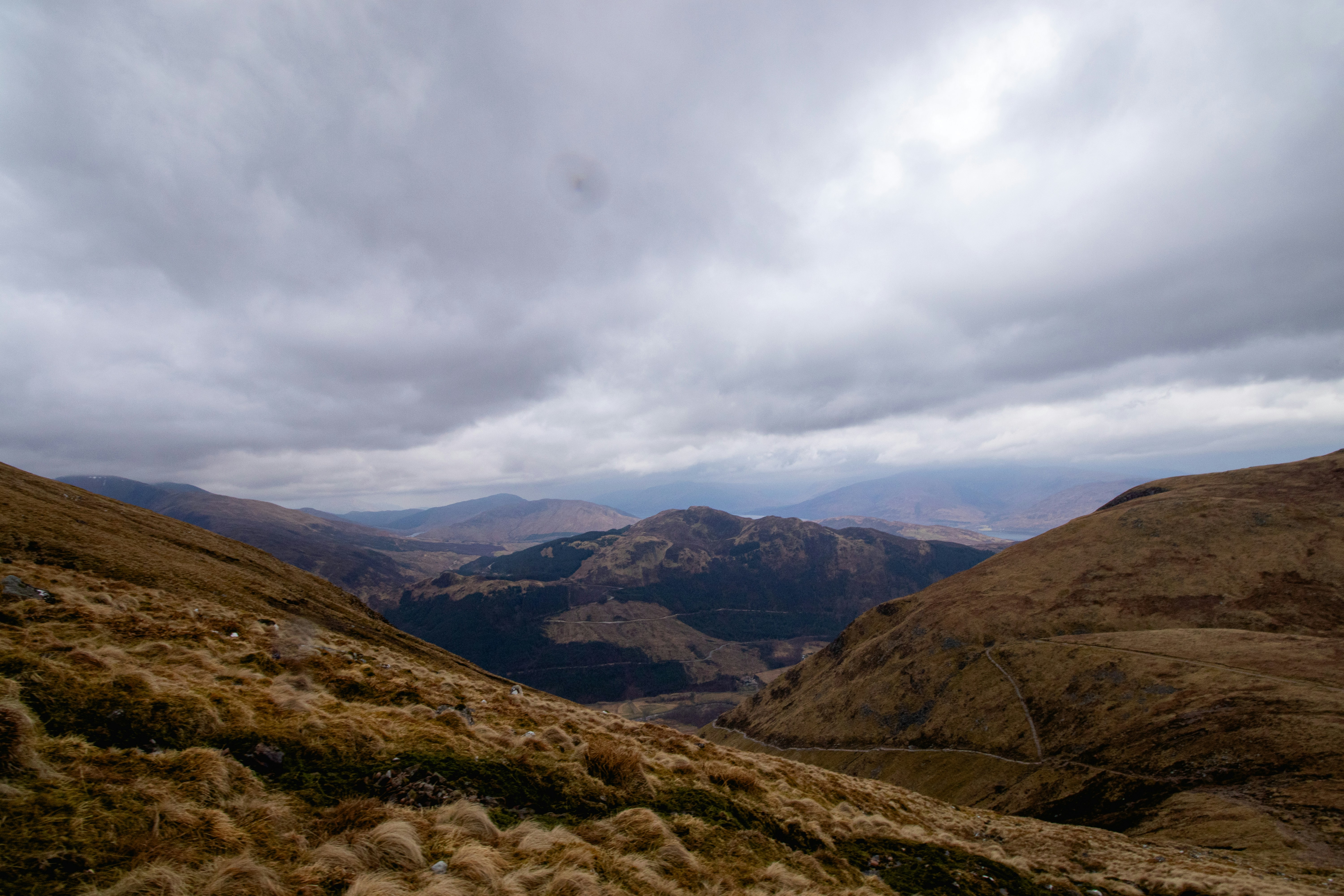 Photo by tpminettphotography