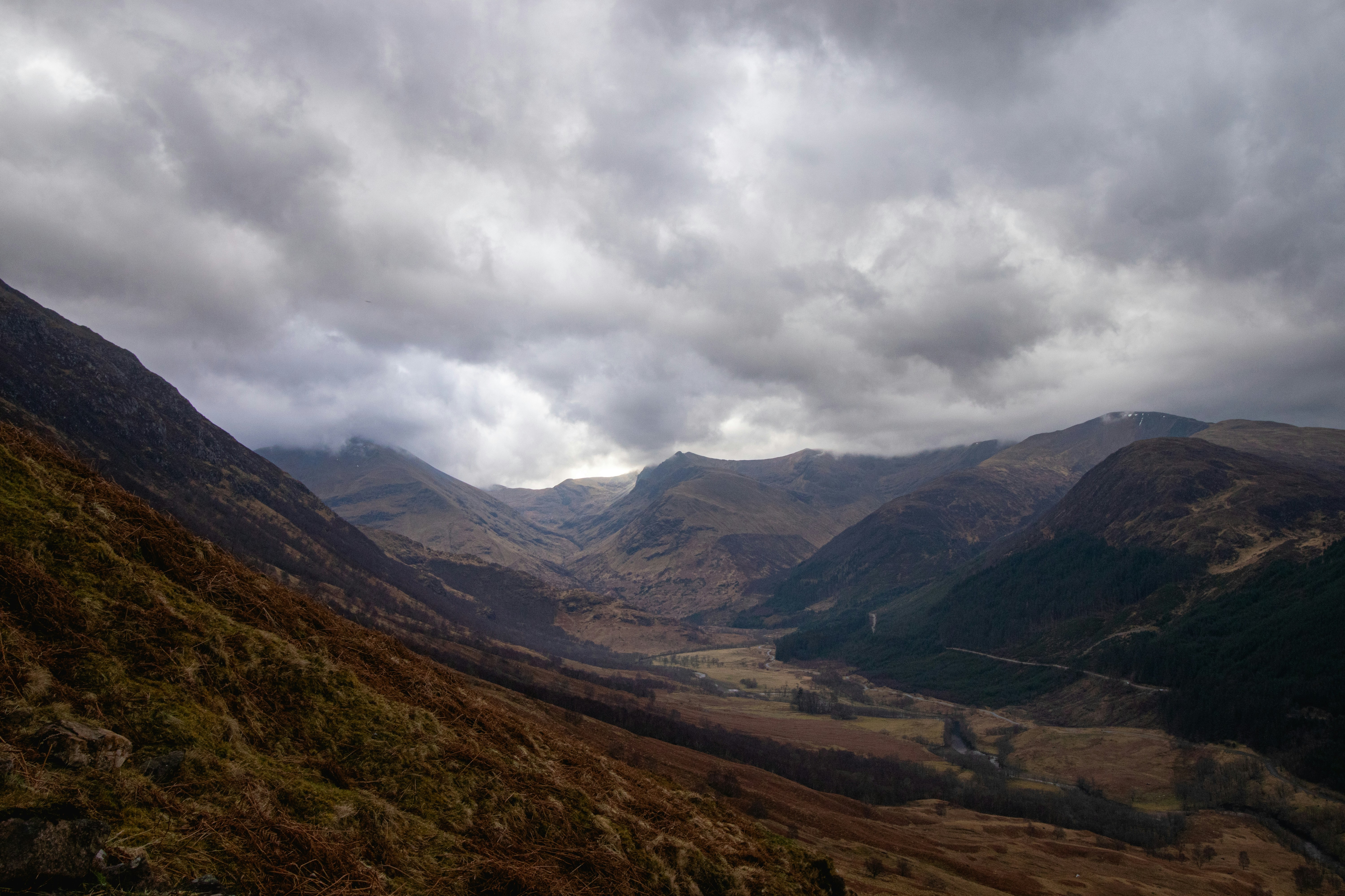 Photo by tpminettphotography