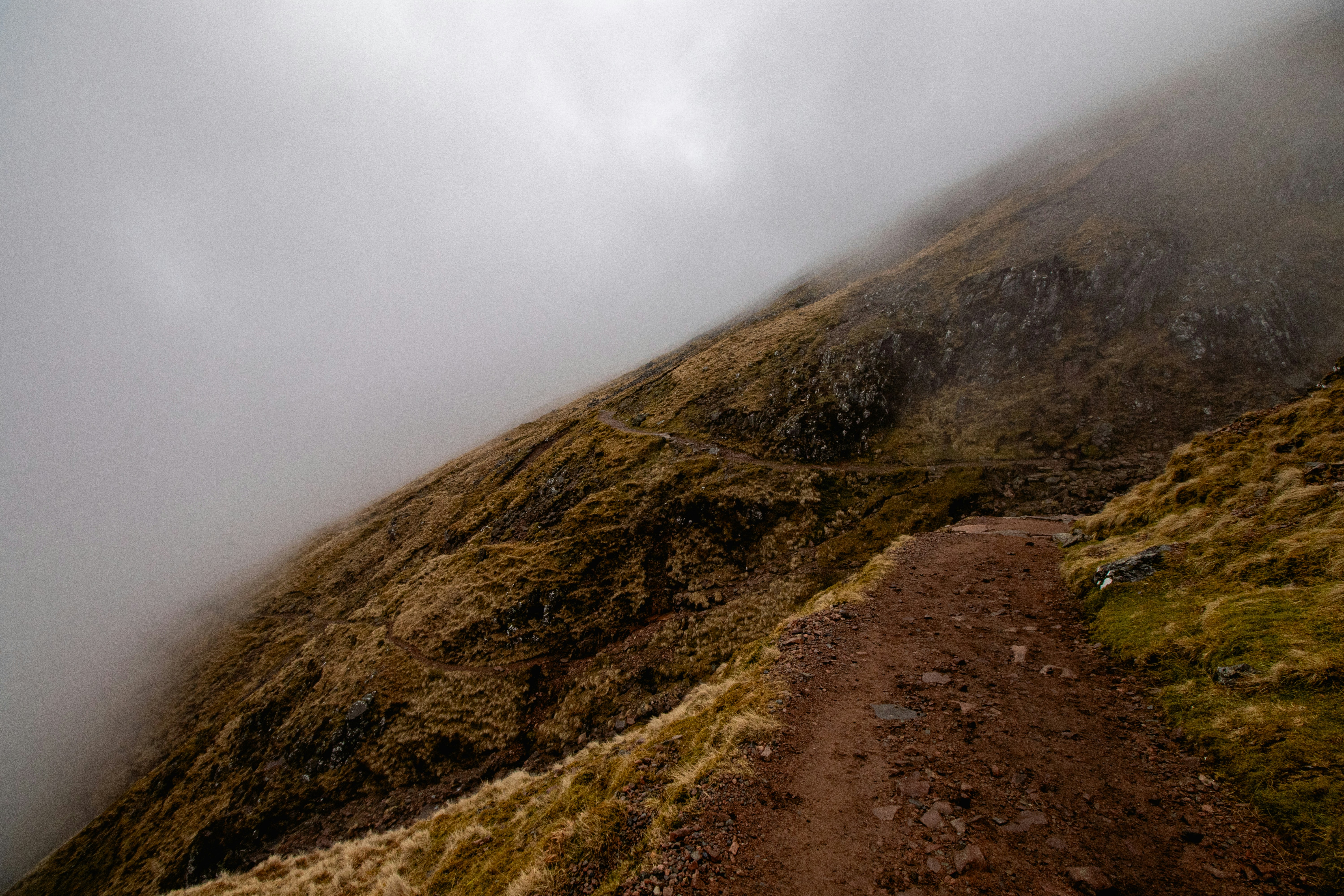 Photo by tpminettphotography