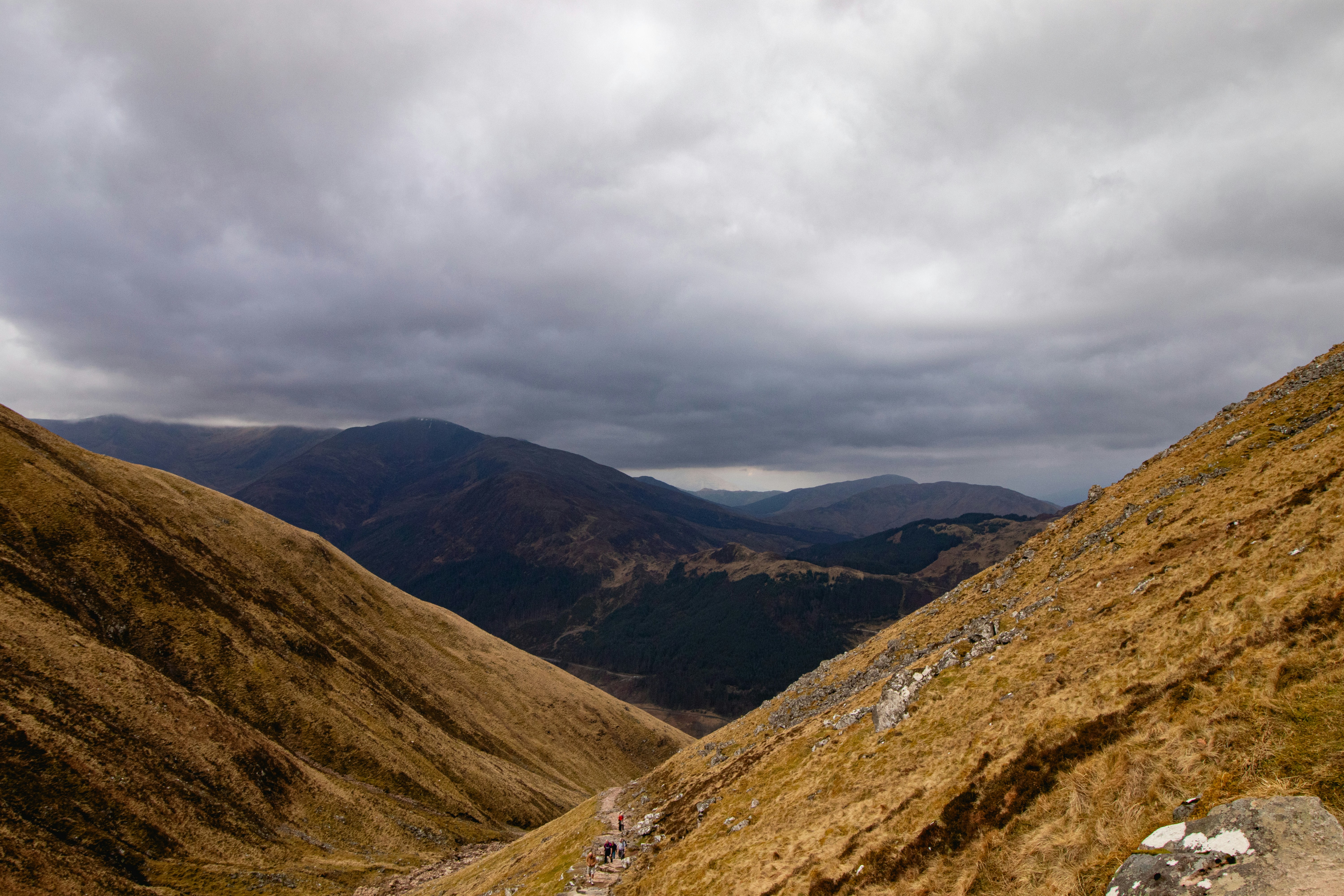 Photo by tpminettphotography