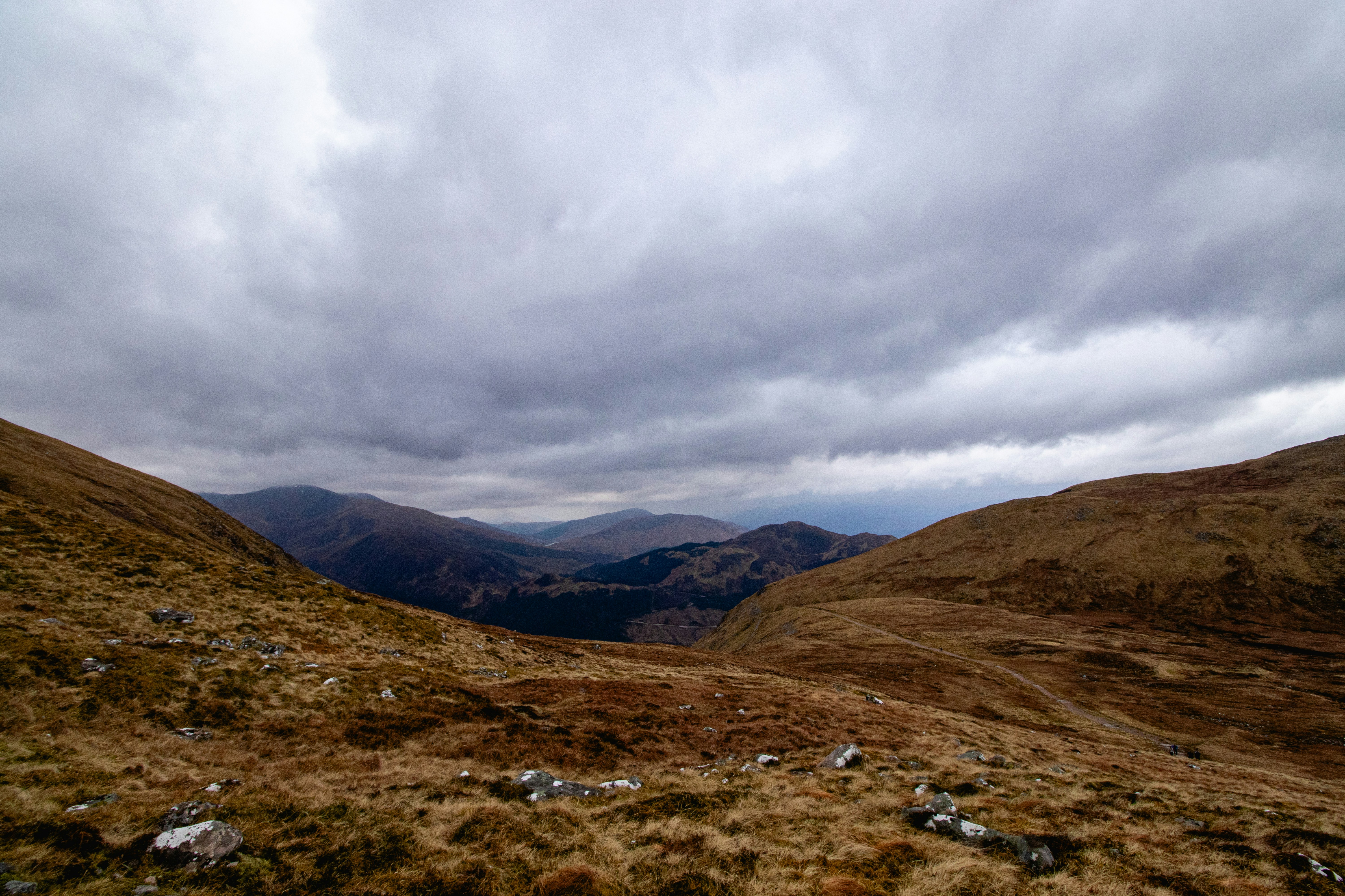 Photo by tpminettphotography