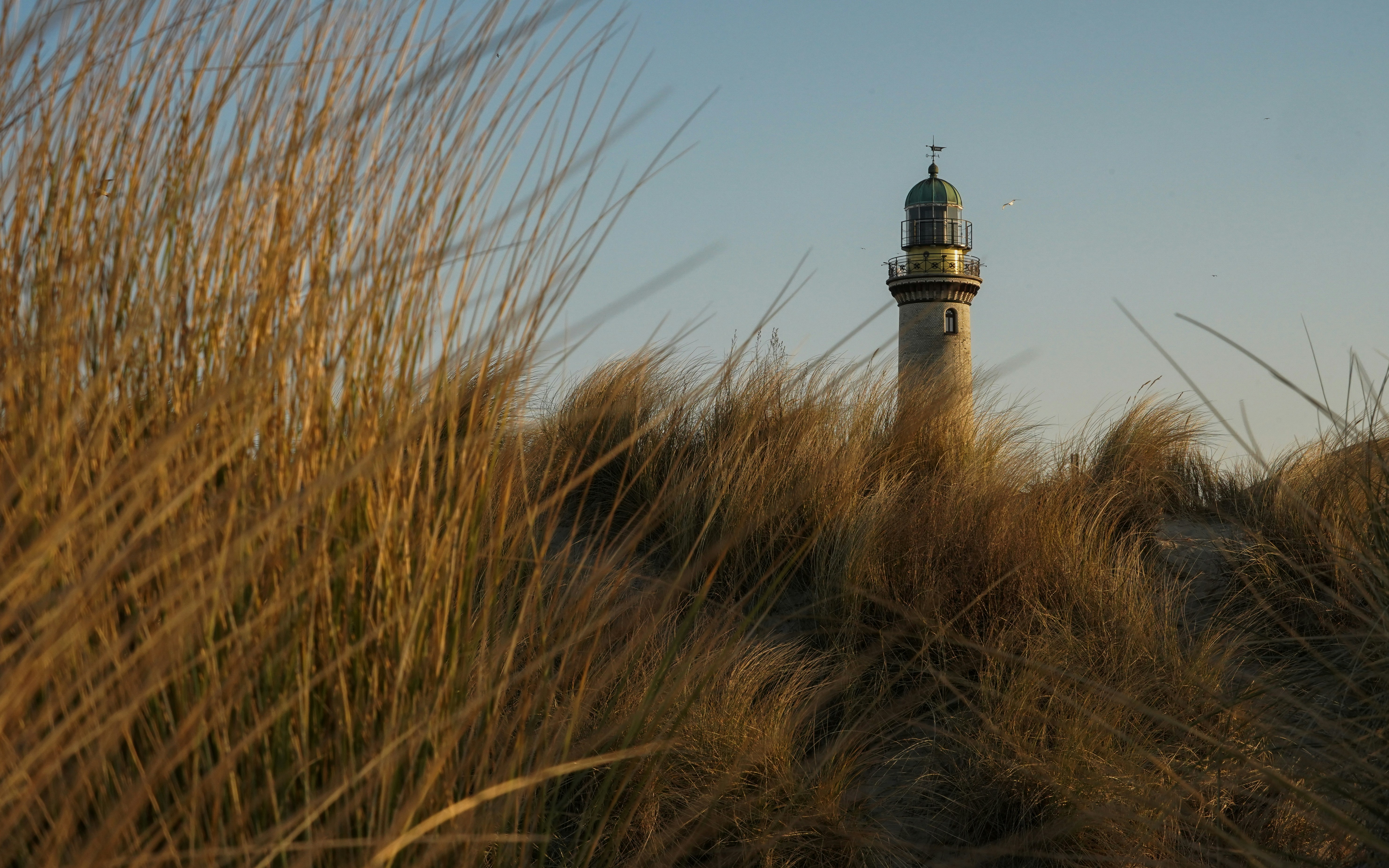 Inmitten von goldenem Gras thront ein Leuchtturm.