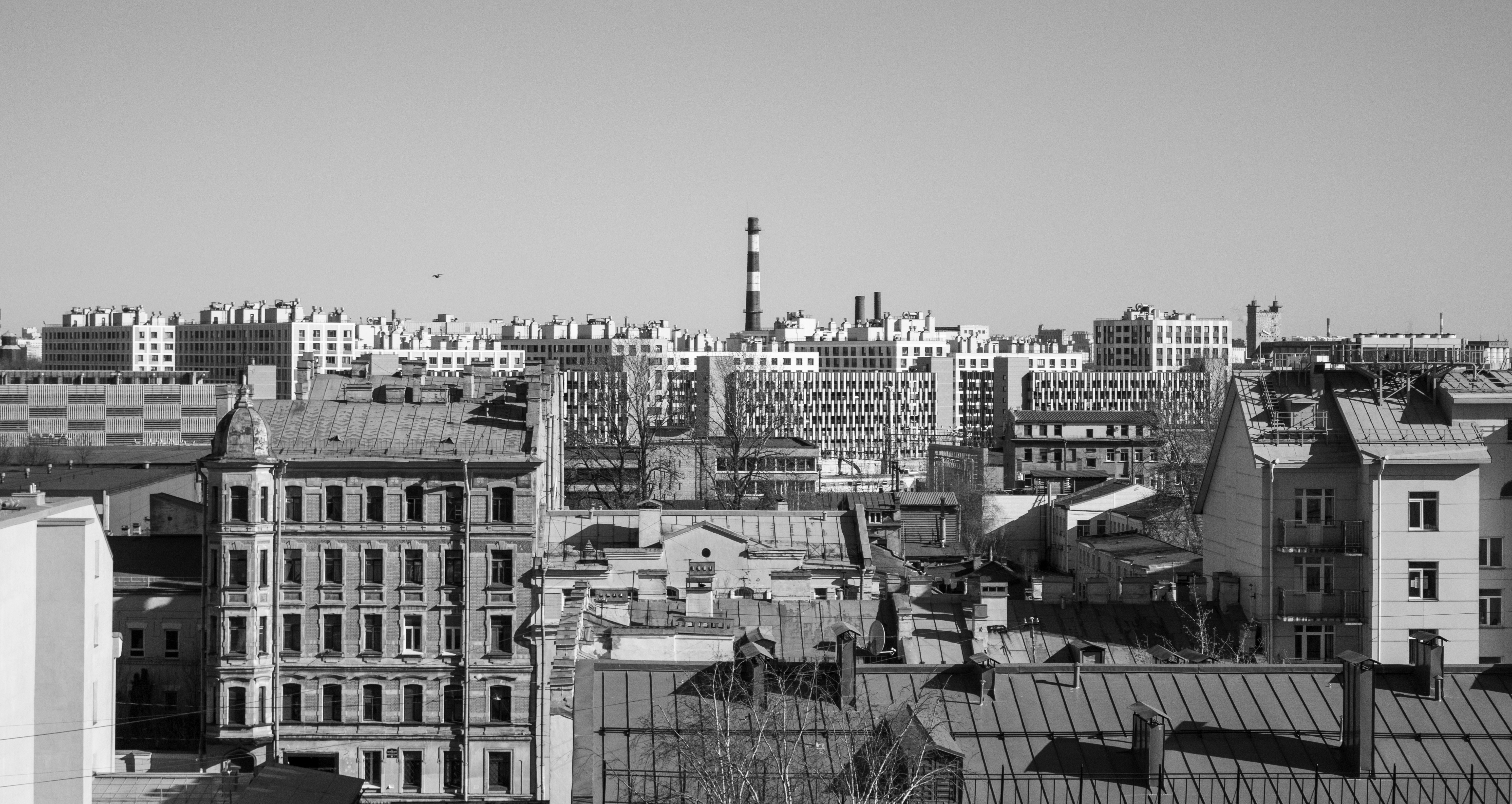 Photo by anna_photo_yozh