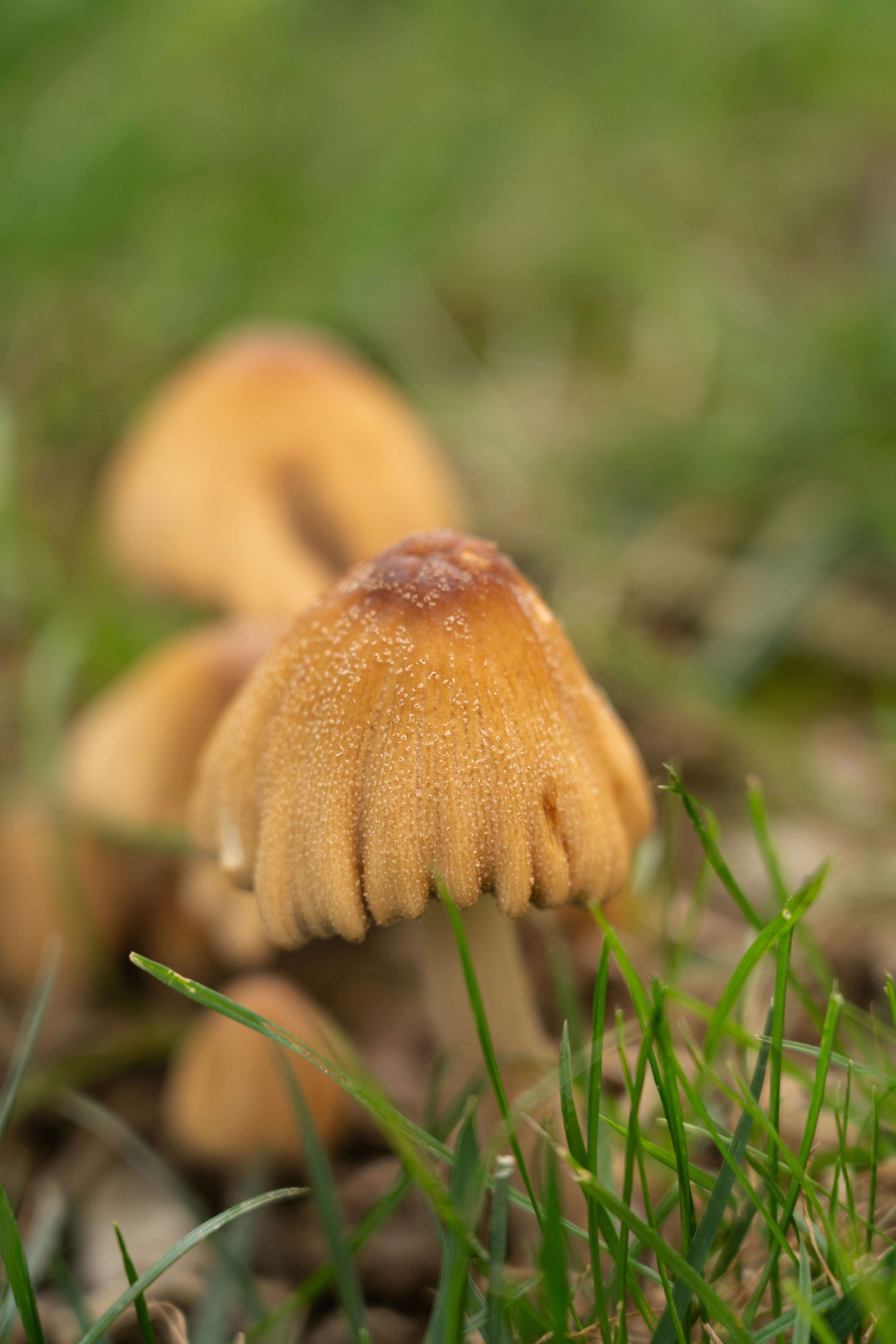 Photo by wild_visonsonig