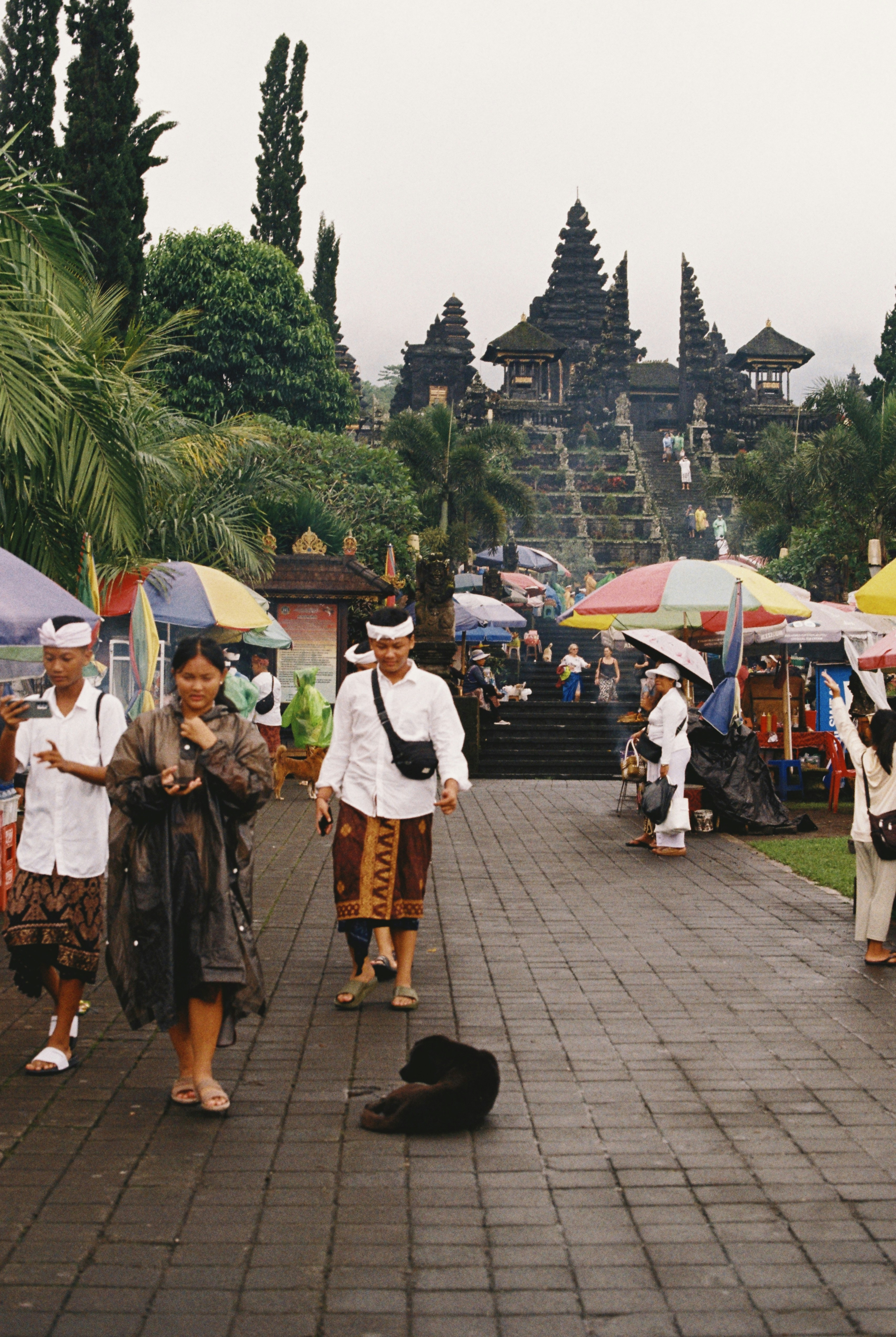 Transportation Talk: Getting Around Without Getting Lost