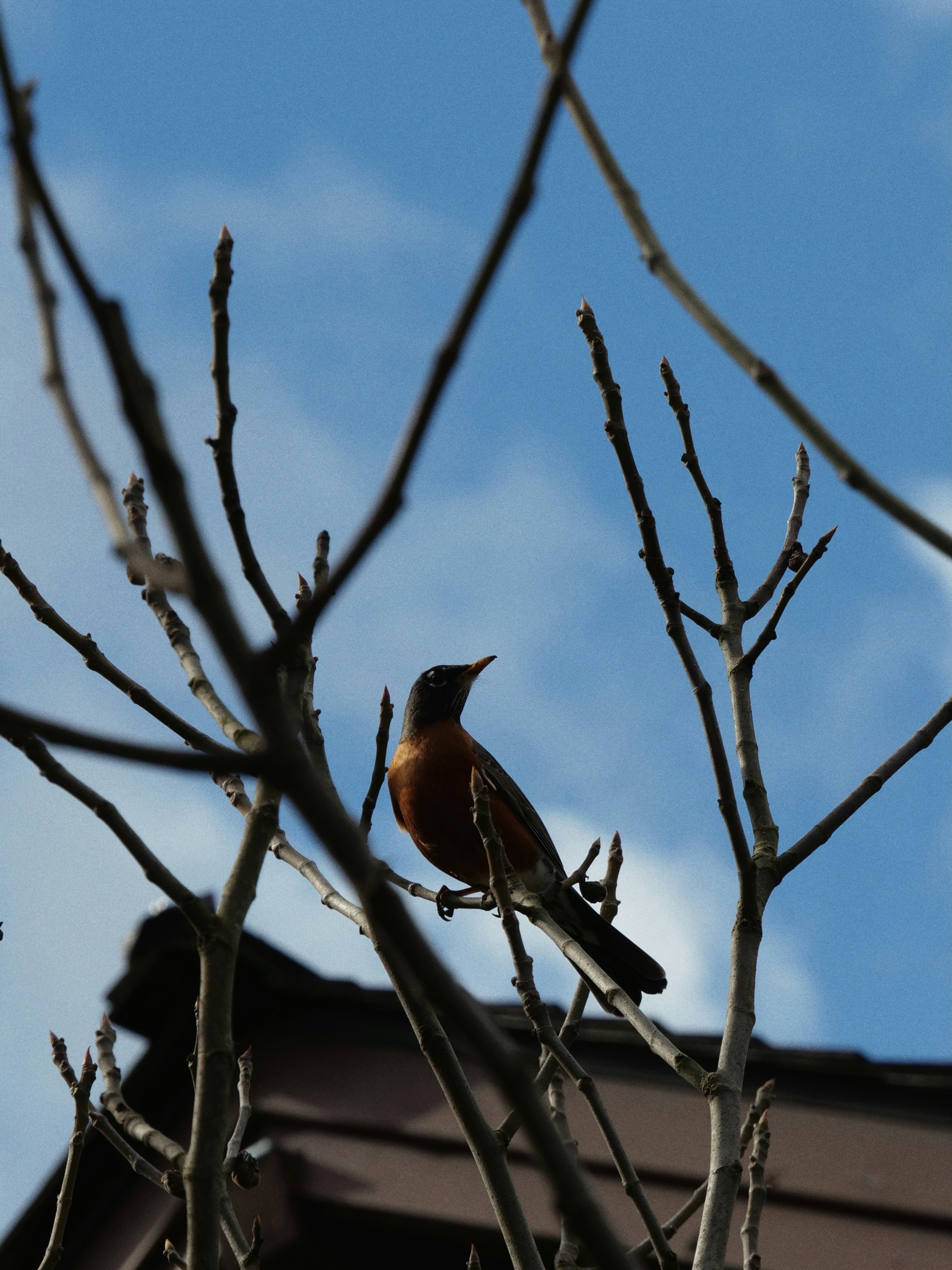 Photo by loveleencherub